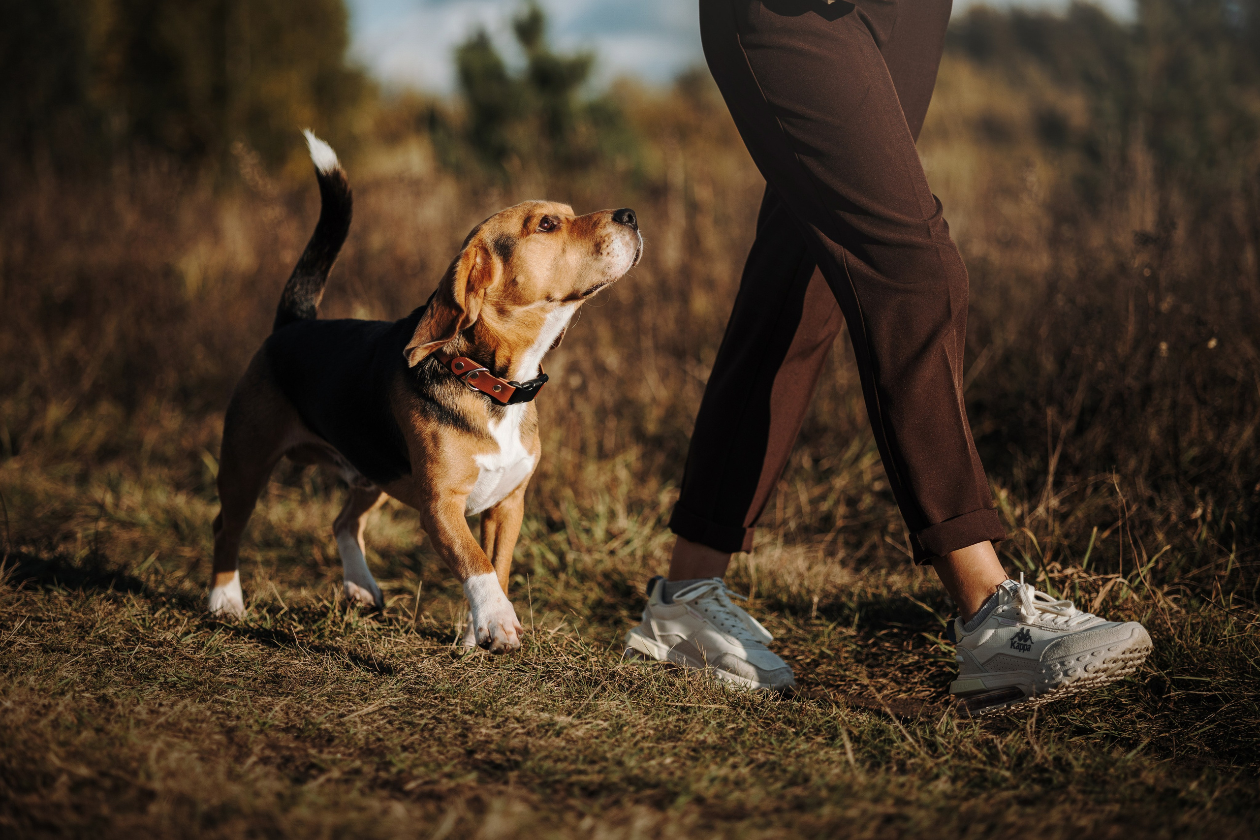Оуджи и его семья. Фотограф — Анималист | Санкт-Петербург