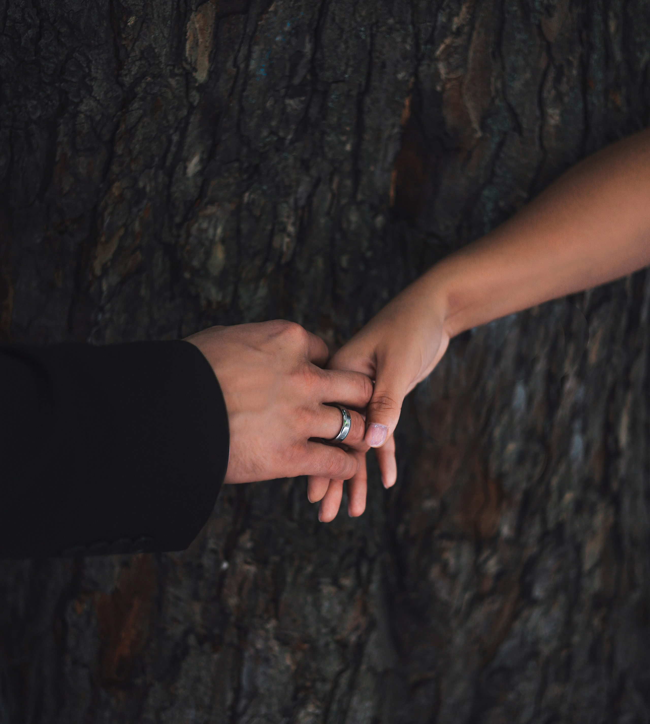 Свадебная съёмка, тут про любовь. Слава Лерина. Фотограф. Ростов-на-Дону