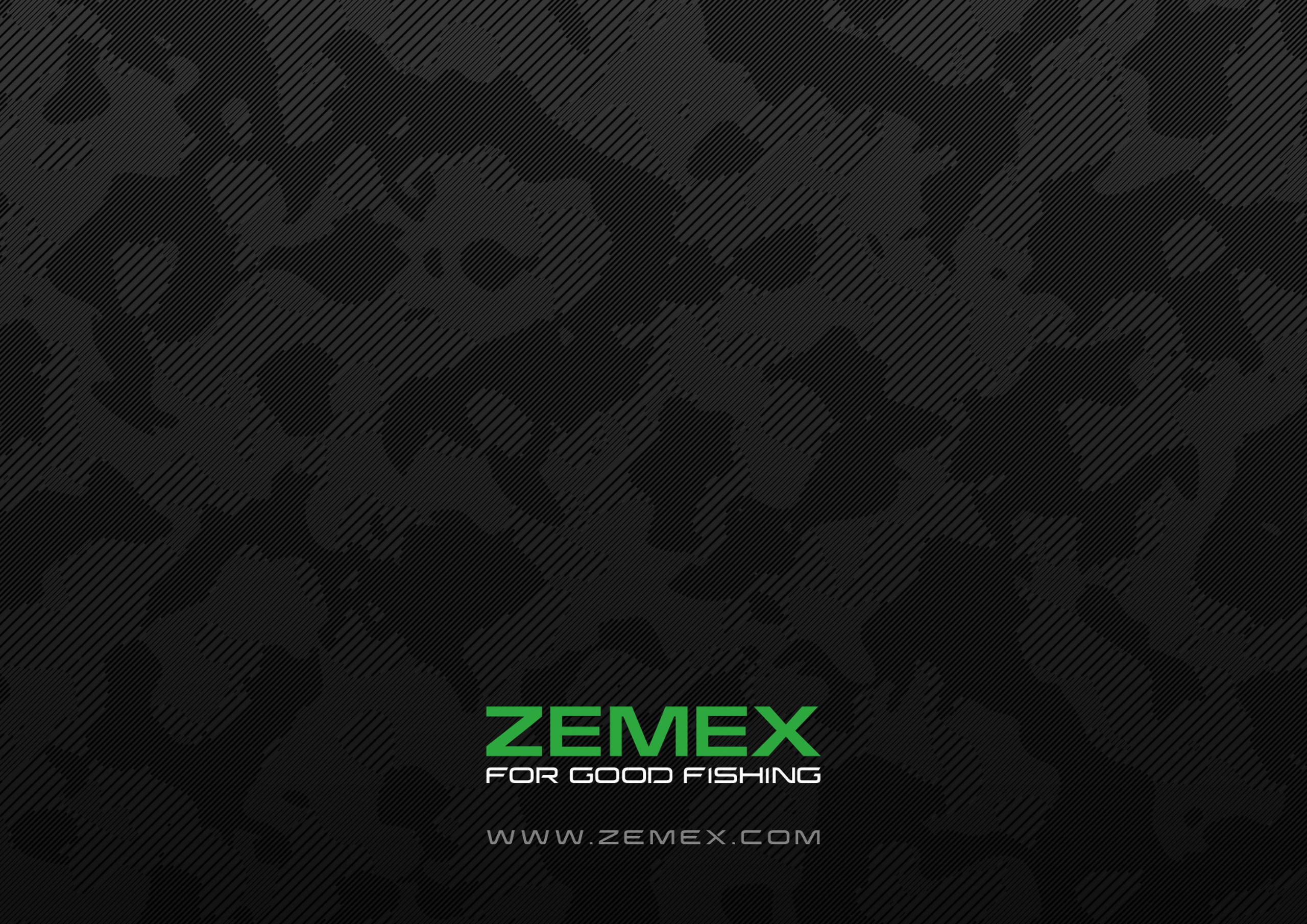 Презентация ZEMEX. MoshaDesign