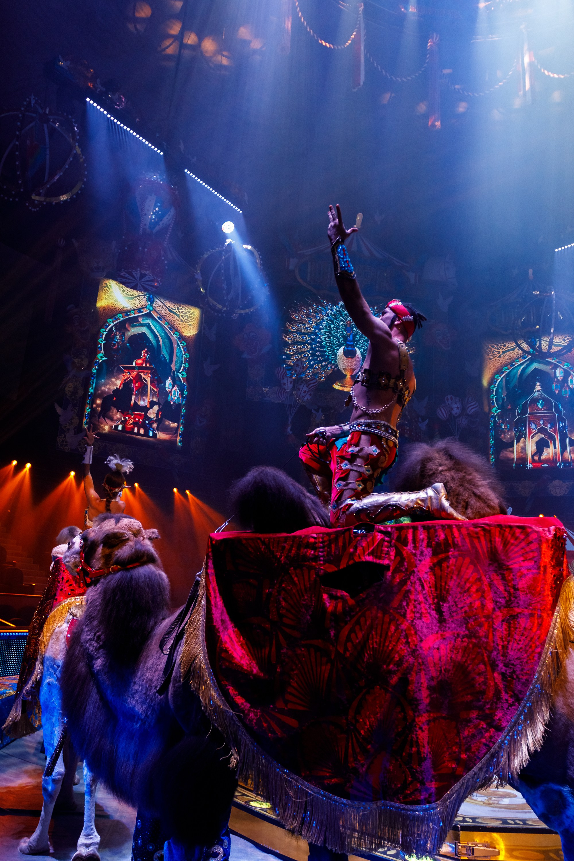 Сочинский росгорцирк Шоу Гии Эрадзе цирк. Профессиональный фотограф в Сочи Виктория Джой. Обучение