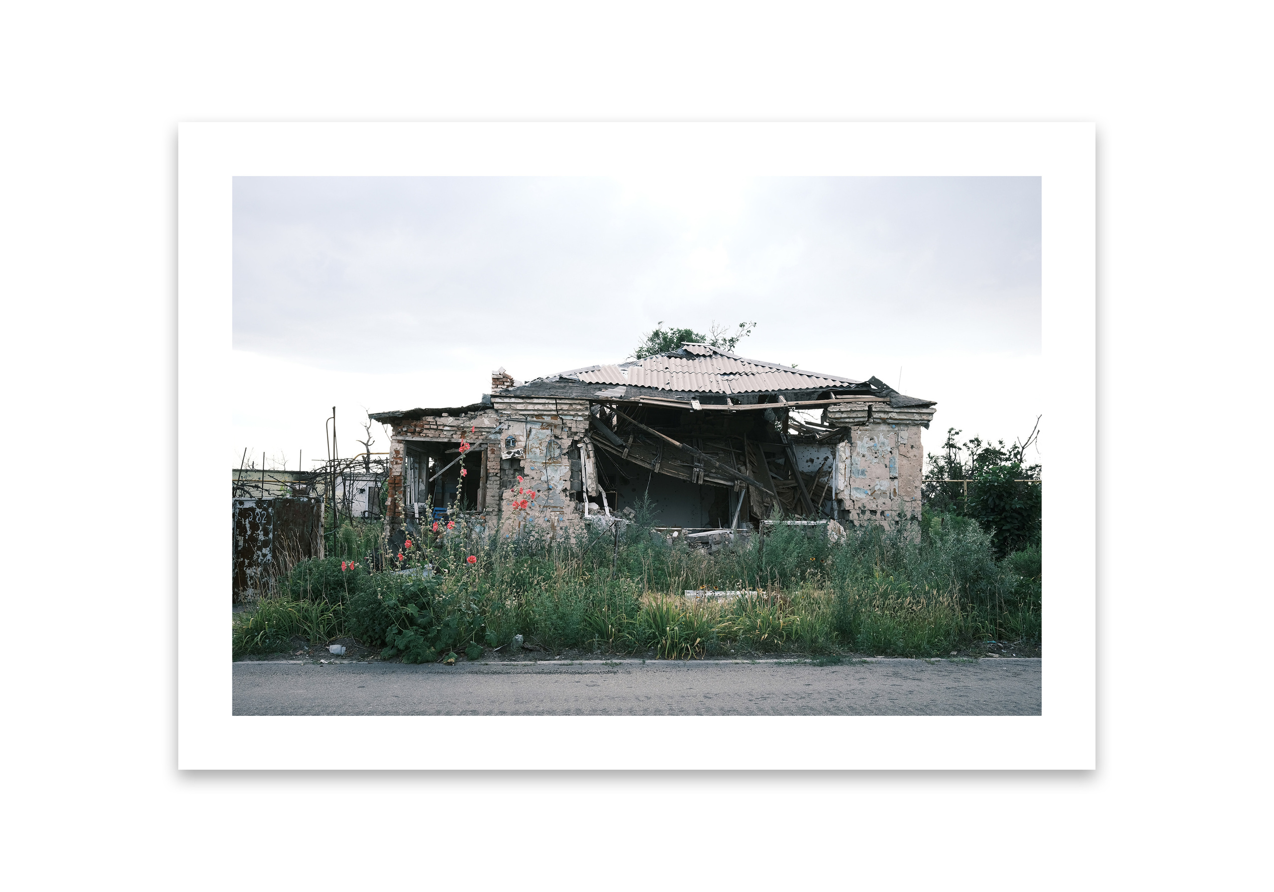 Prints. Elena Kalyuzhnaya