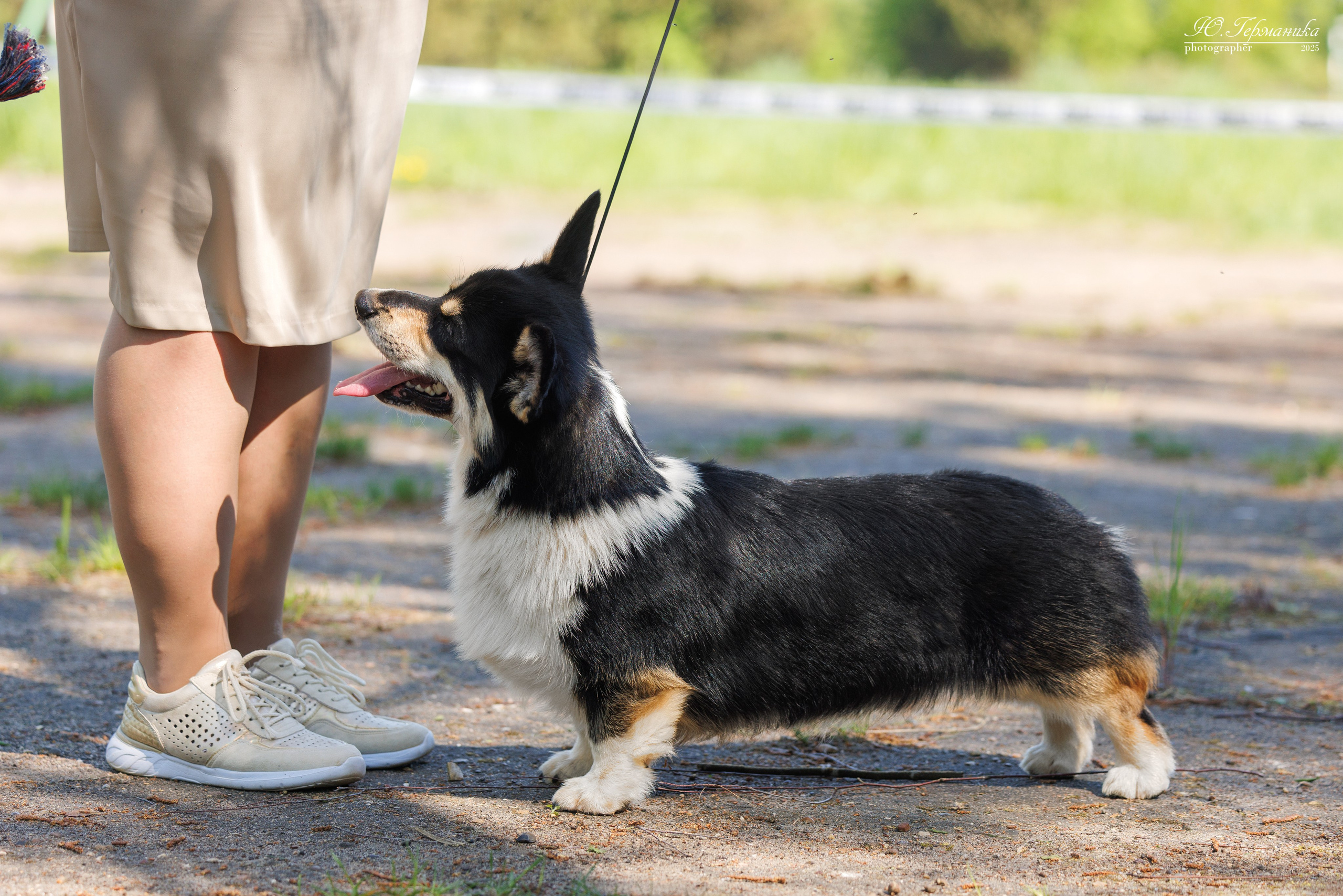 Тверь 24.05.2025. Фотограф-анималист Юлия Германика