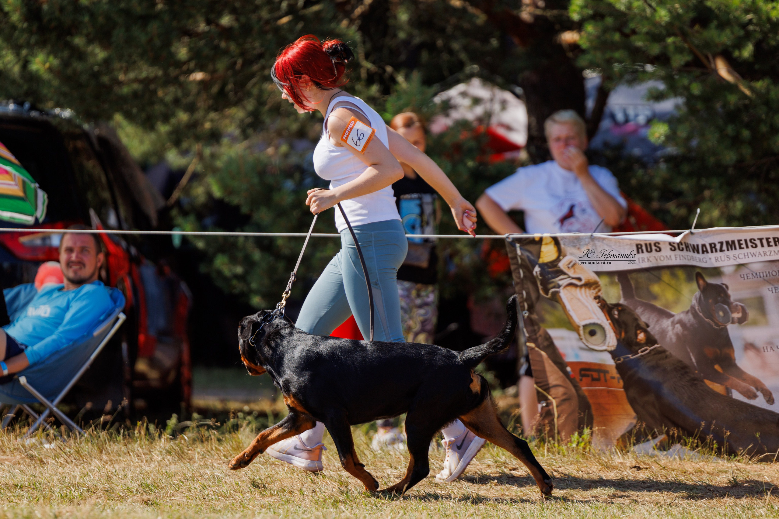 ПК и КЧК ротвейлеры Тверь 6-7.07.2024. Фотограф-анималист Юлия Германика