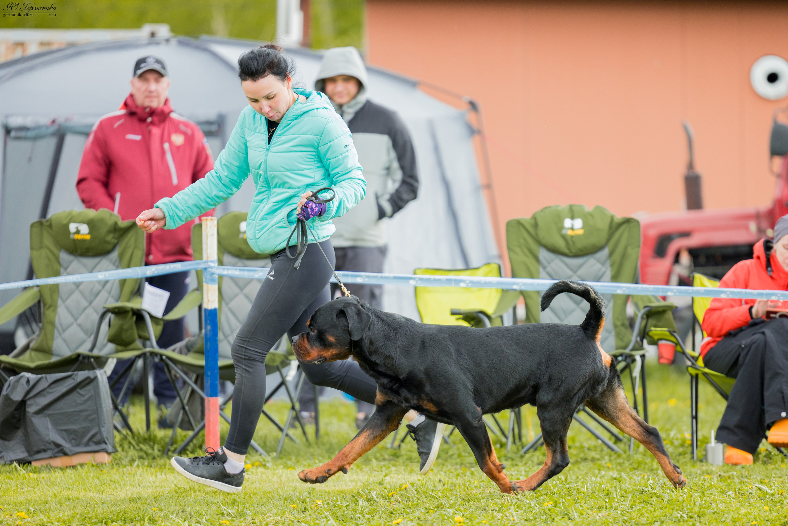 Нижний Новгород 11-12.05.2024 моно ротвейлеров. Фотограф-анималист Юлия Германика