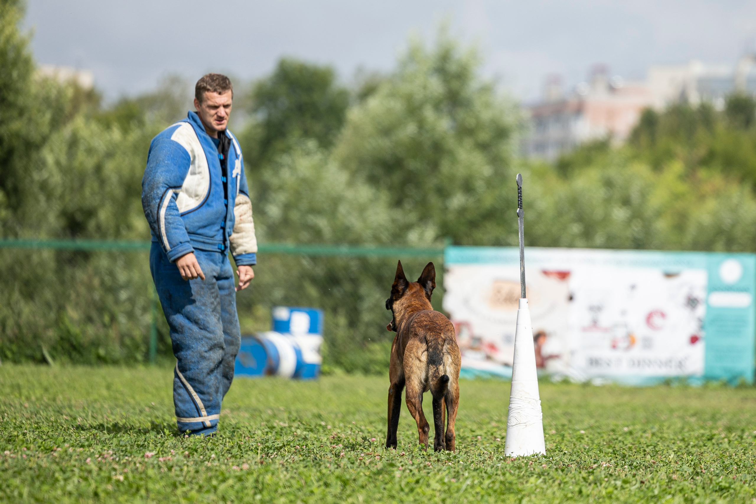 Соревнования по Мондьорингу г. Вологда 10-11.08.2024. Фотограф-анималист Анна Маринич