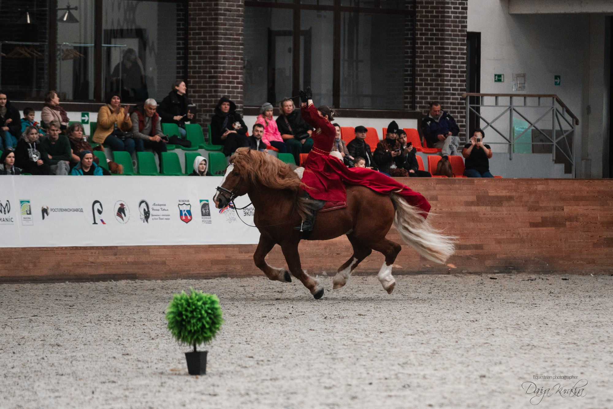 8-я международная выставка Конная Россия. Конный фотограф Куракина Дарья • Фотосессии с лошадьми