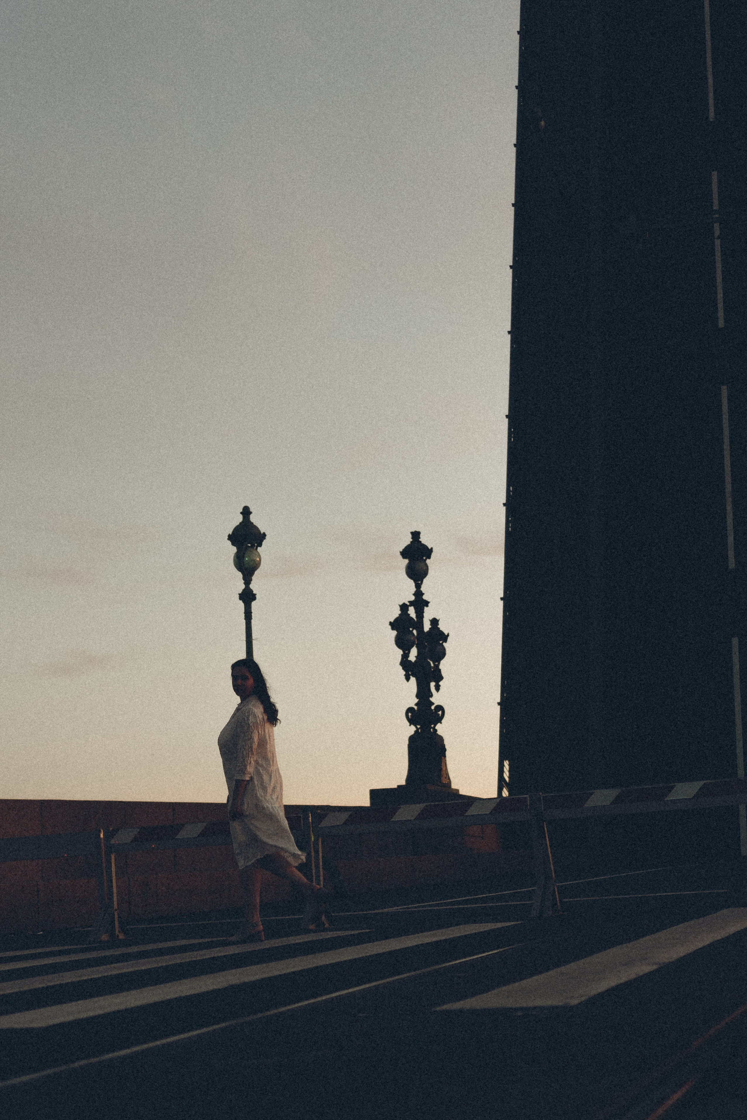 РАССВЕТ С РАЗВОДНЫМИ МОСТАМИ. Профессиональный фотограф, Санкт-Петербург — Виктория Богомолова