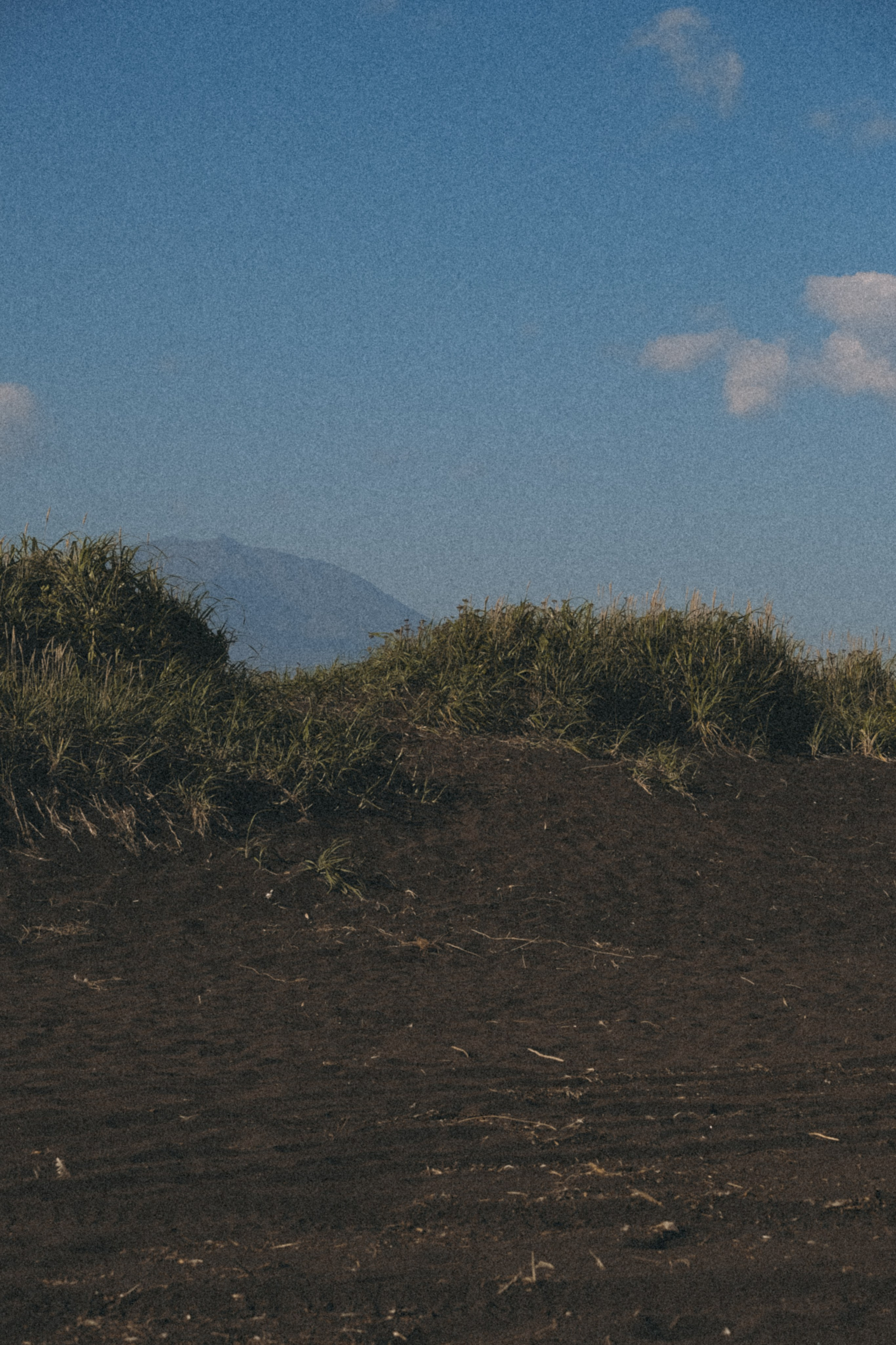 Тихий океан. Профессиональный фотограф, Санкт-Петербург — Виктория Богомолова