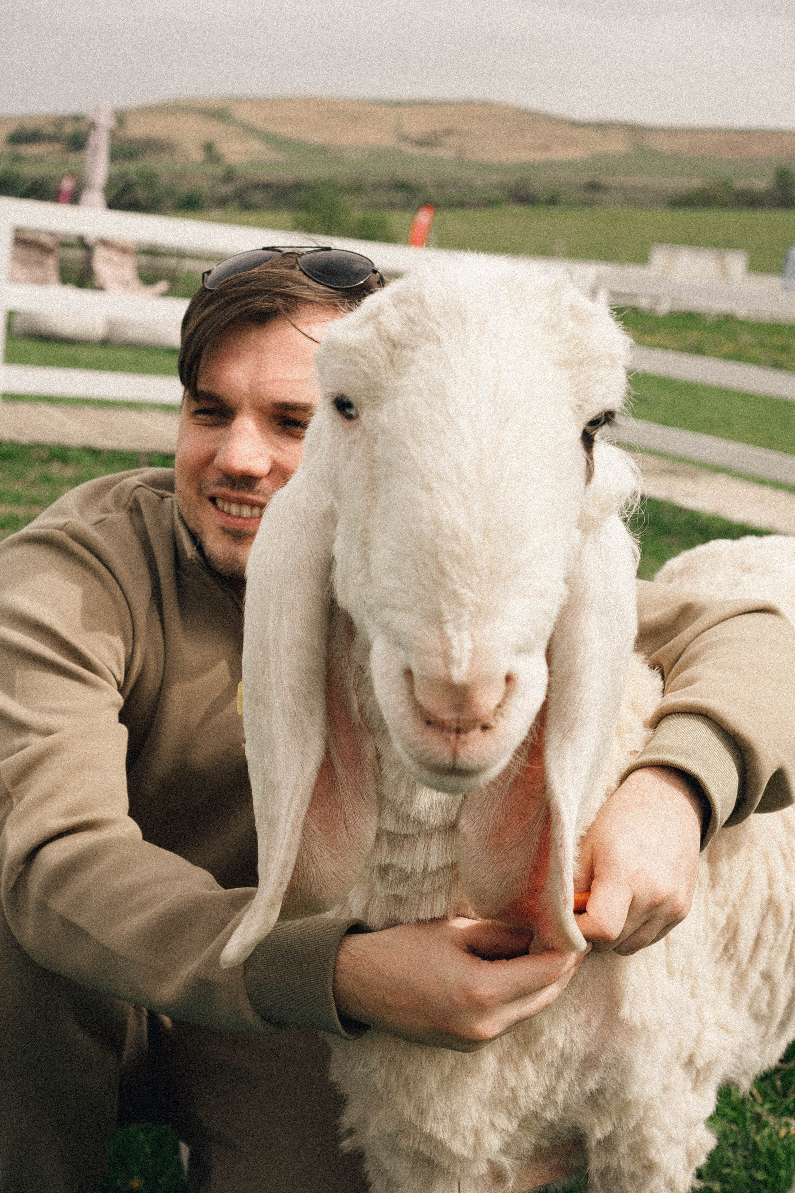 Ферма Альпак. Профессиональный фотограф, Санкт-Петербург — Виктория Богомолова
