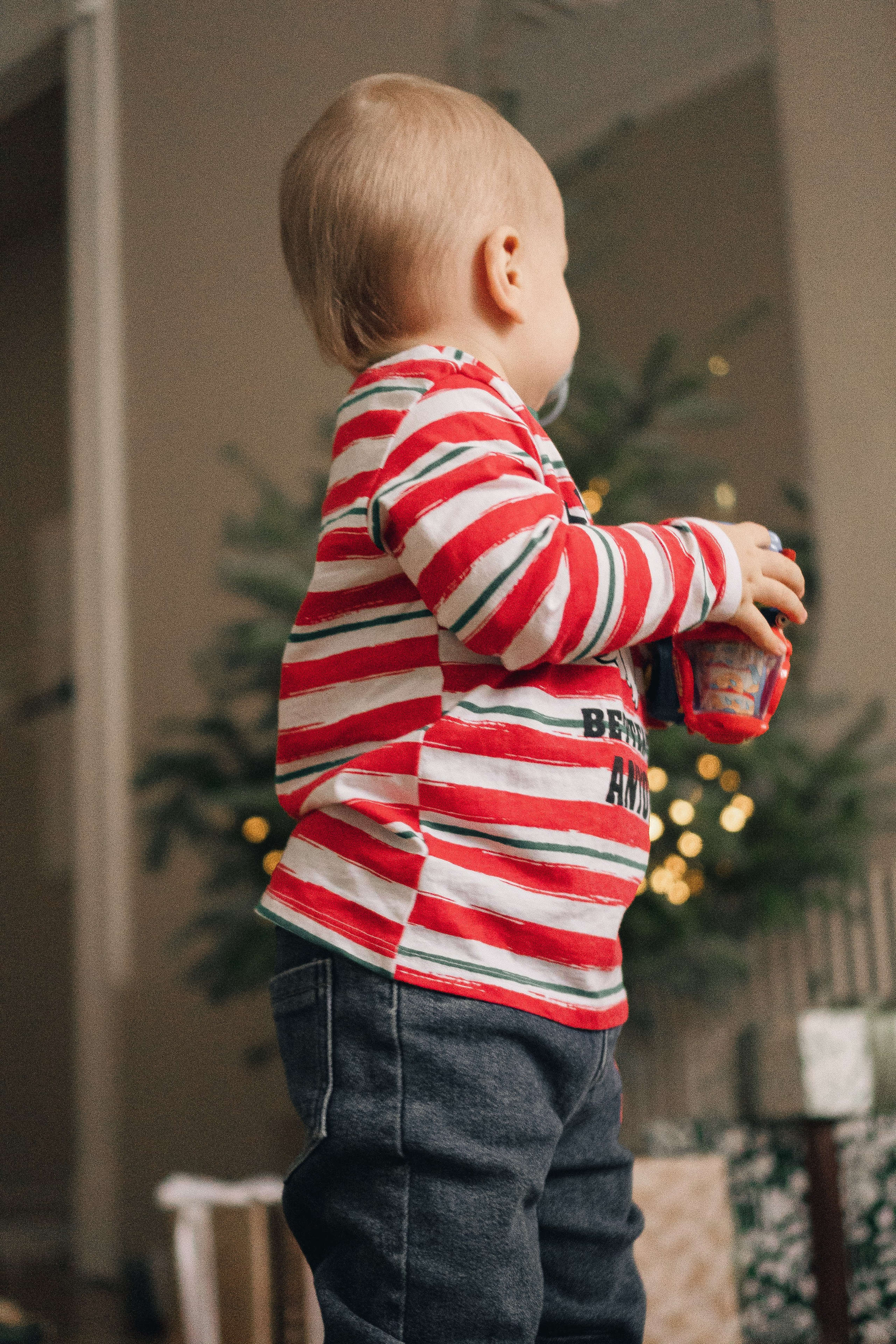 НОВОГОДНЯЯ В СТУДИИ. Профессиональный фотограф, Санкт-Петербург — Виктория Богомолова