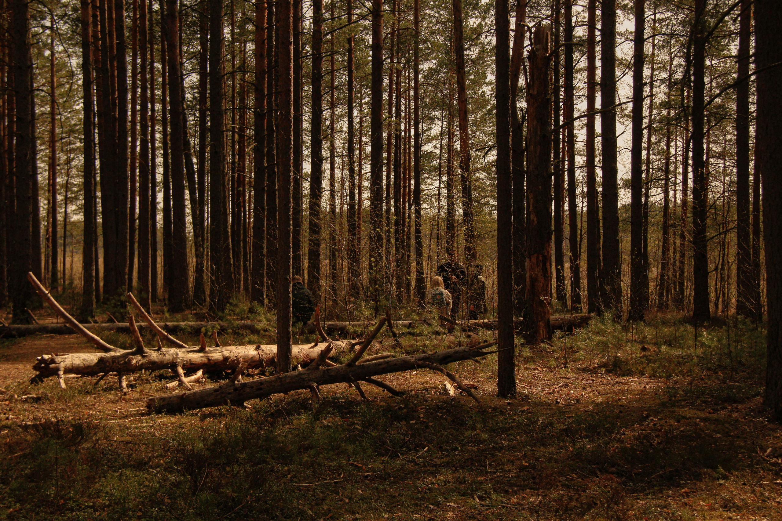 Болотный Хоббит. Карина и Аня. Janie valde | visual artist