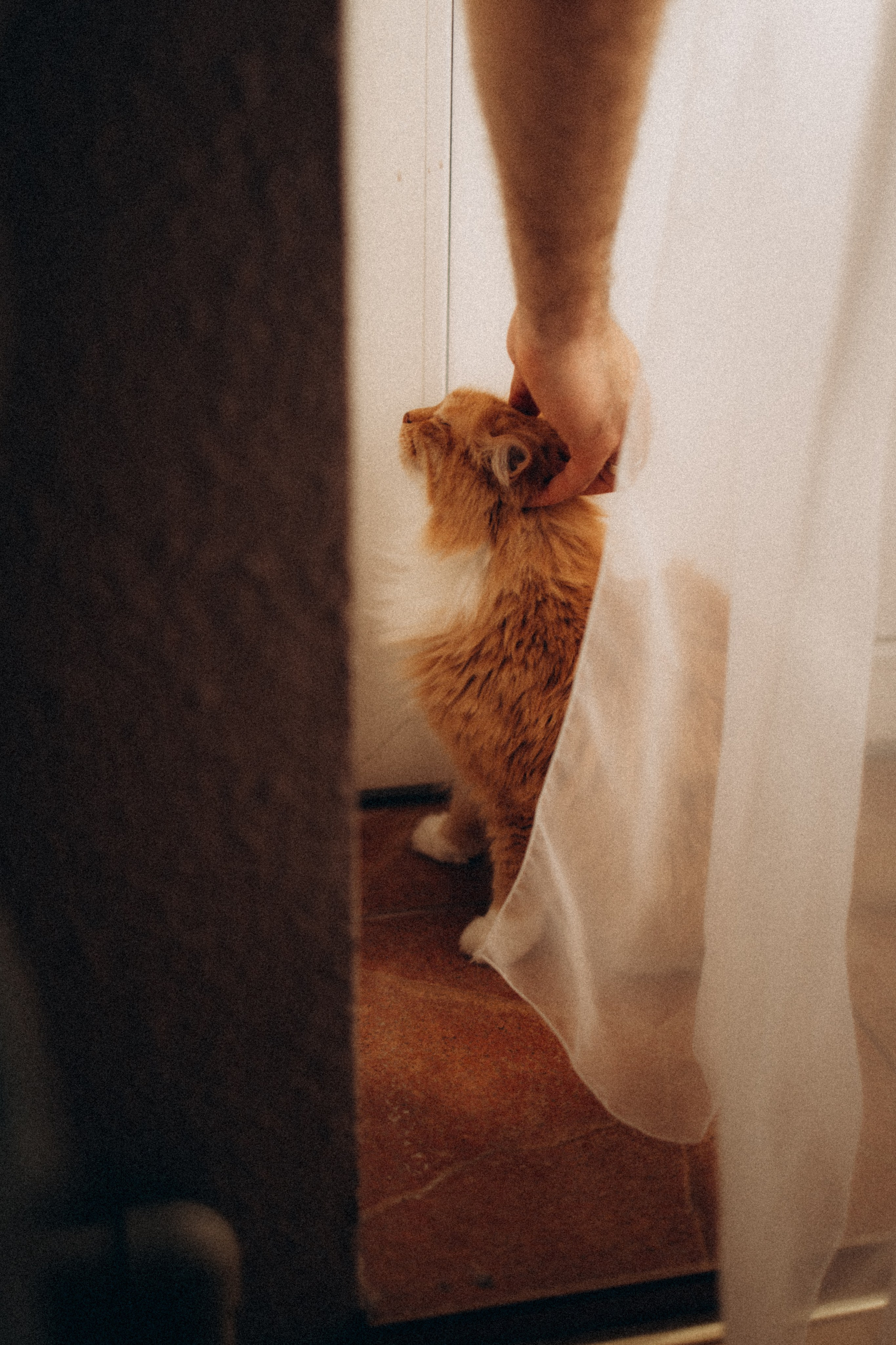 Фотосессия беременности в Москве. Семейный фотограф в Москве и Люберцах Юлия Гуськова