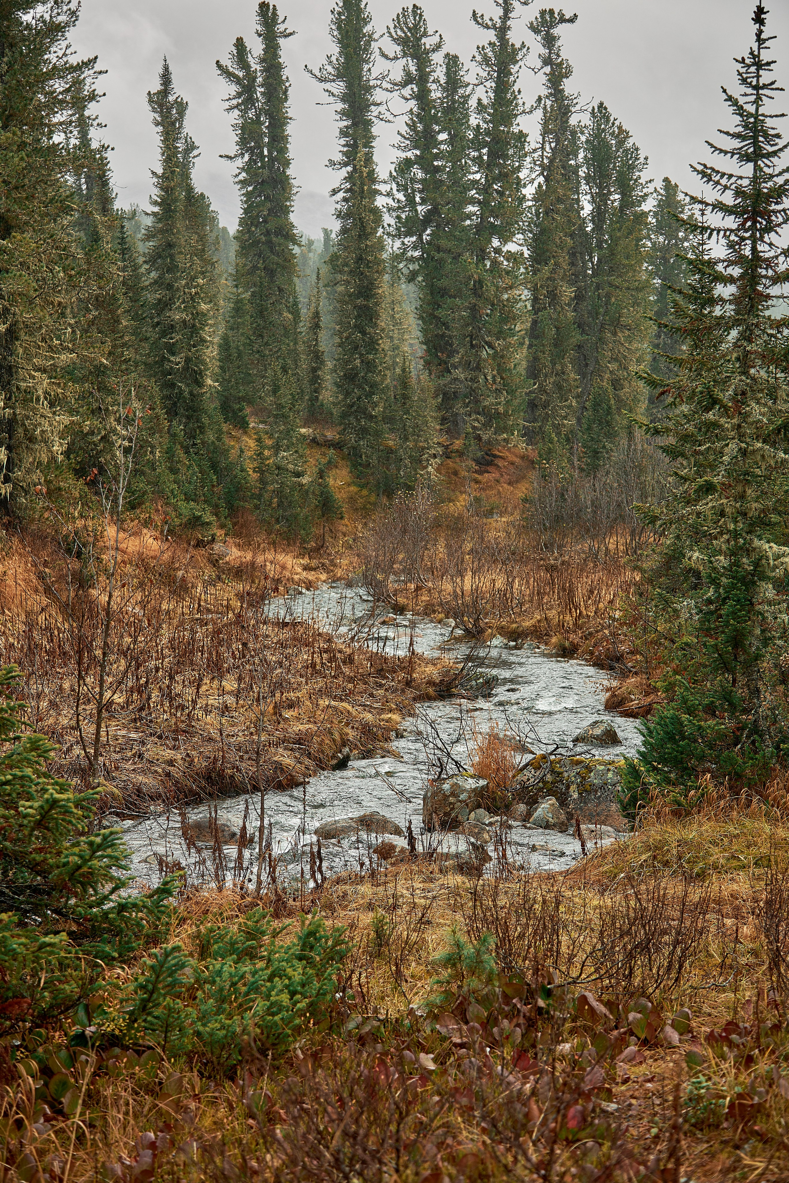 Ергаки (2022-23). Фотограф ваших событий в Красноярске — Макс Захарченко
