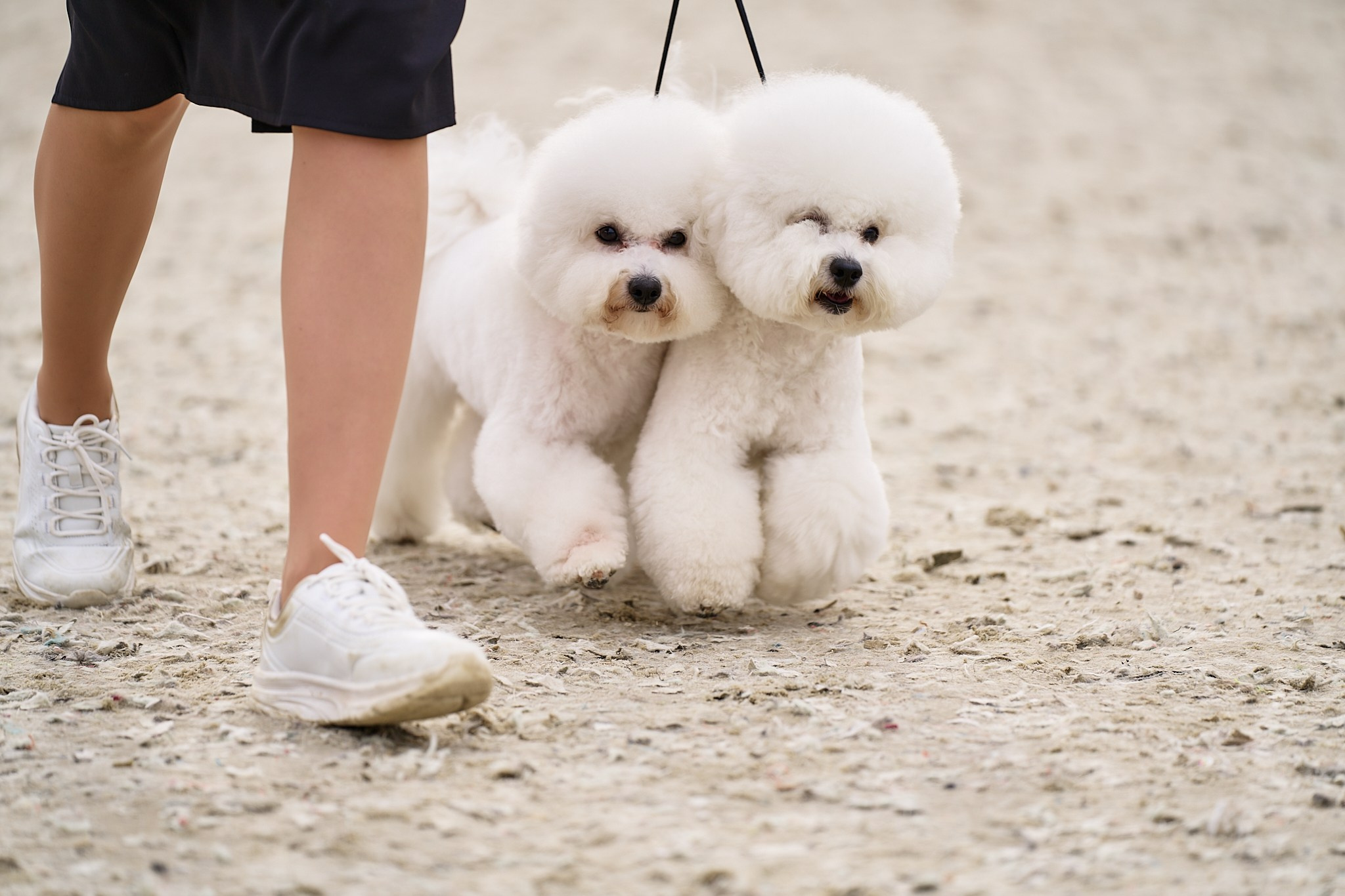 09.06.2024, «РОССИЯ. КУБОК МОСКВЫ 2024 & КУБОК ГОРОДОВ-ГЕРОЕВ»