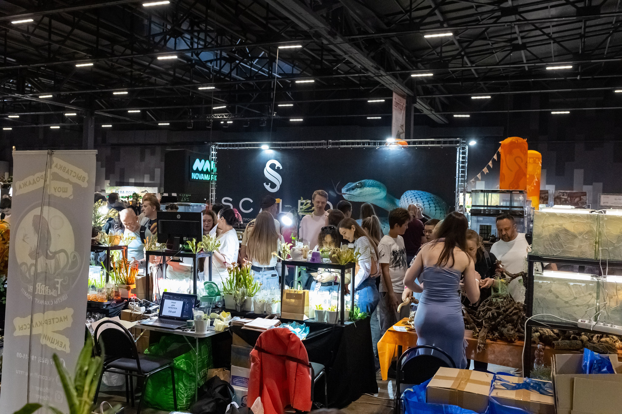 Рептилиум 2024. Александра Куликова фотограф, Москва