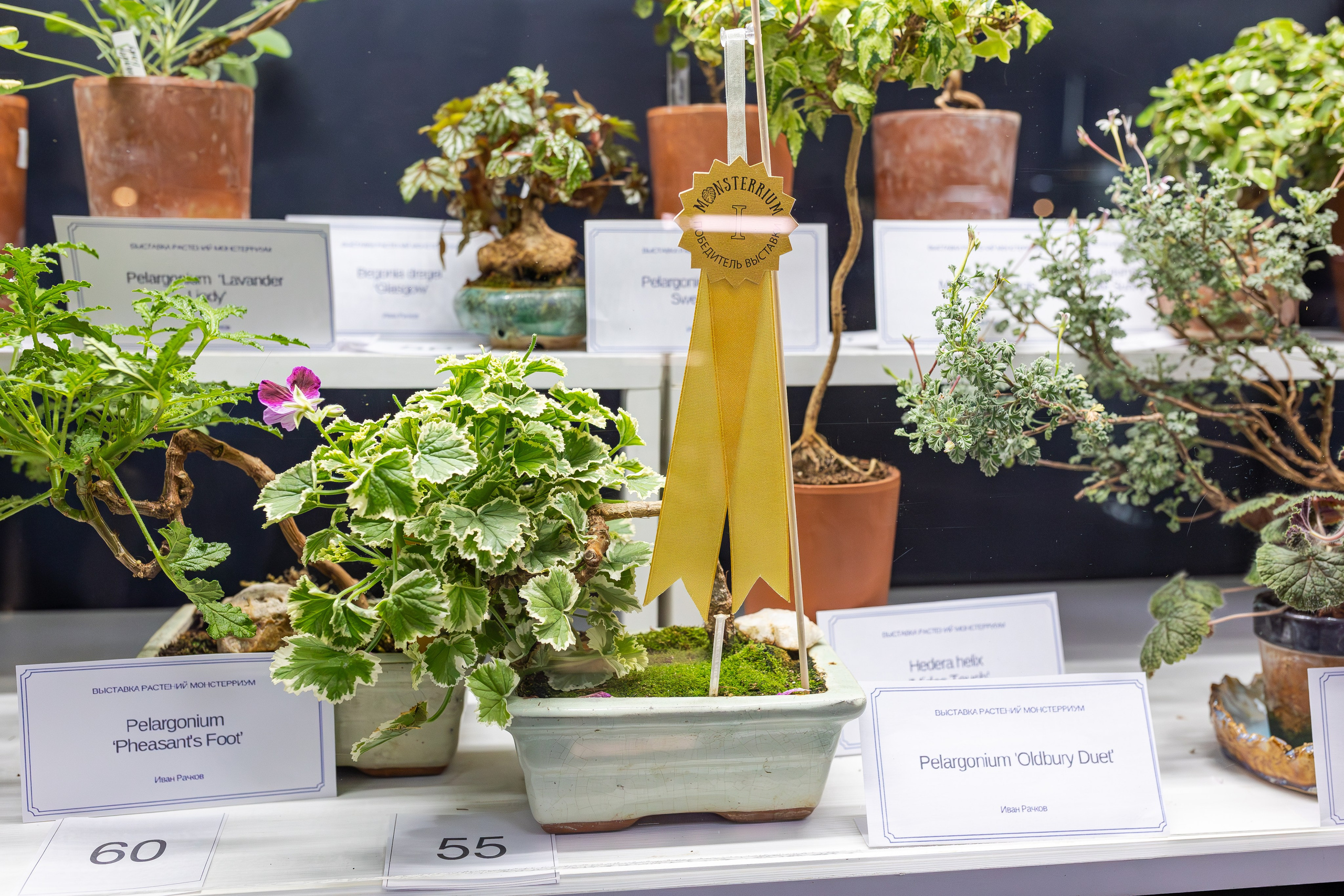 Монстериум апрель 2026. Александра Куликова фотограф, Москва