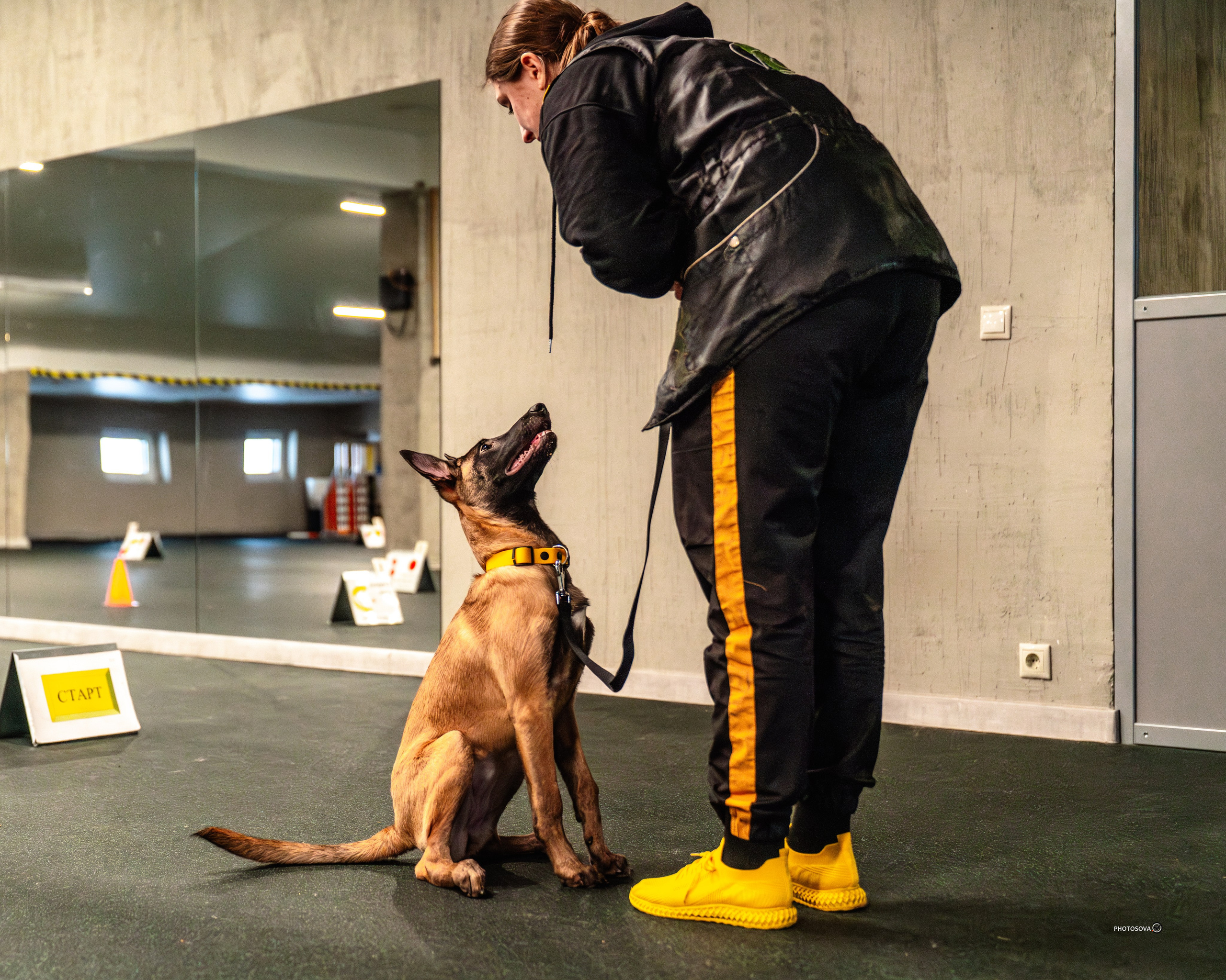 ТЫ И Я (соревнования по ралли-обидиенс). Фотограф-анималист, семейный фотограф в Москве и Подмосковье. Фотосъёмка кинологических дисциплин