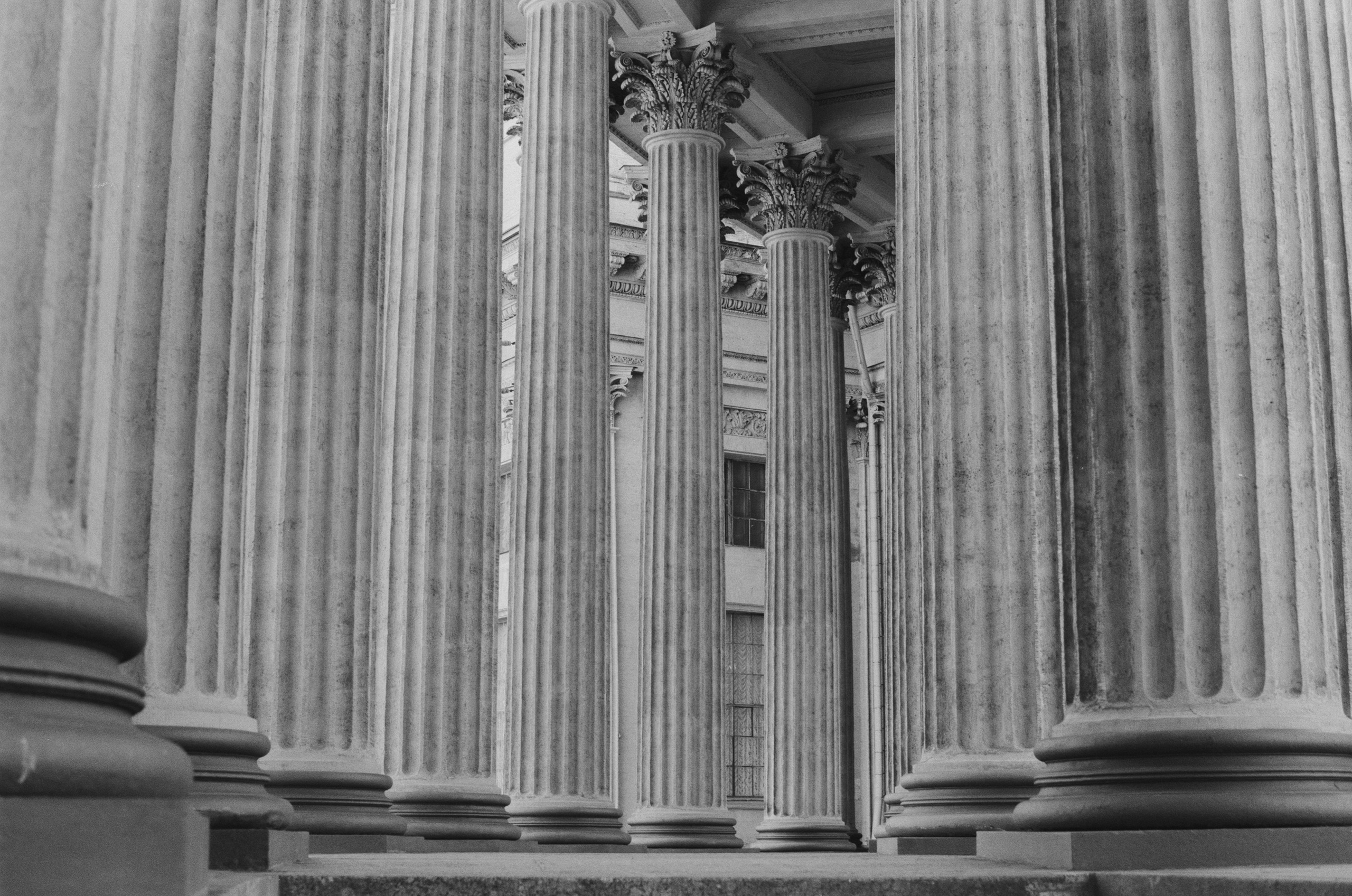 Black dog petersburg // st.-petersburg II. EVER EXPOSED