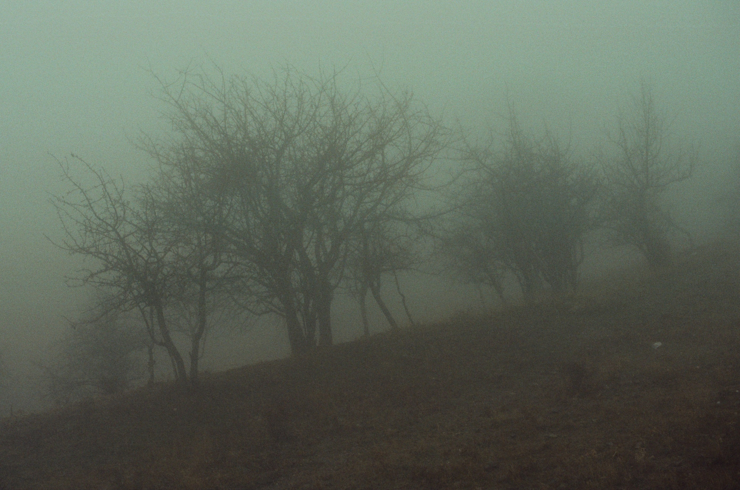 I o u // ukraine, crimea. EVER EXPOSED