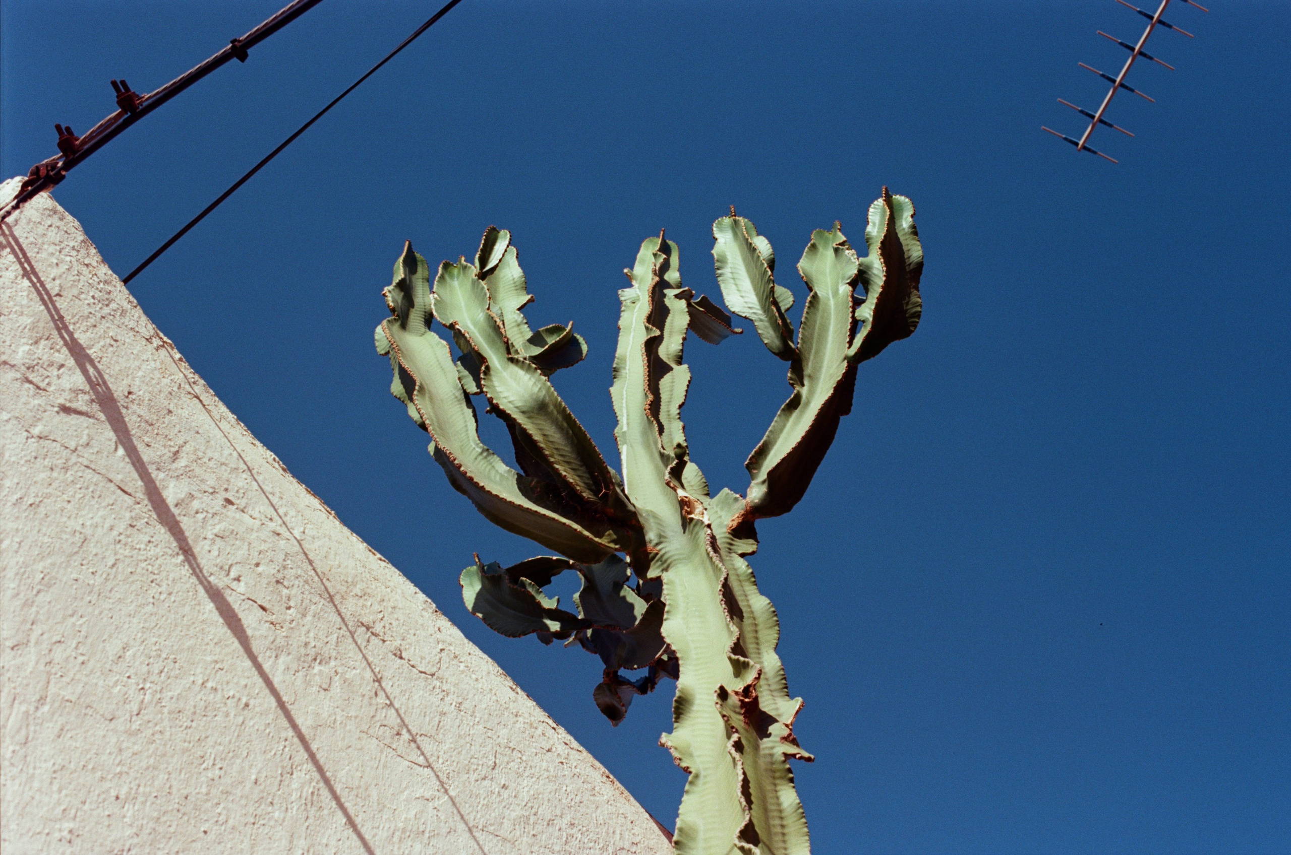 Spanish sahara // spain, pozo de los frailes. EVER EXPOSED