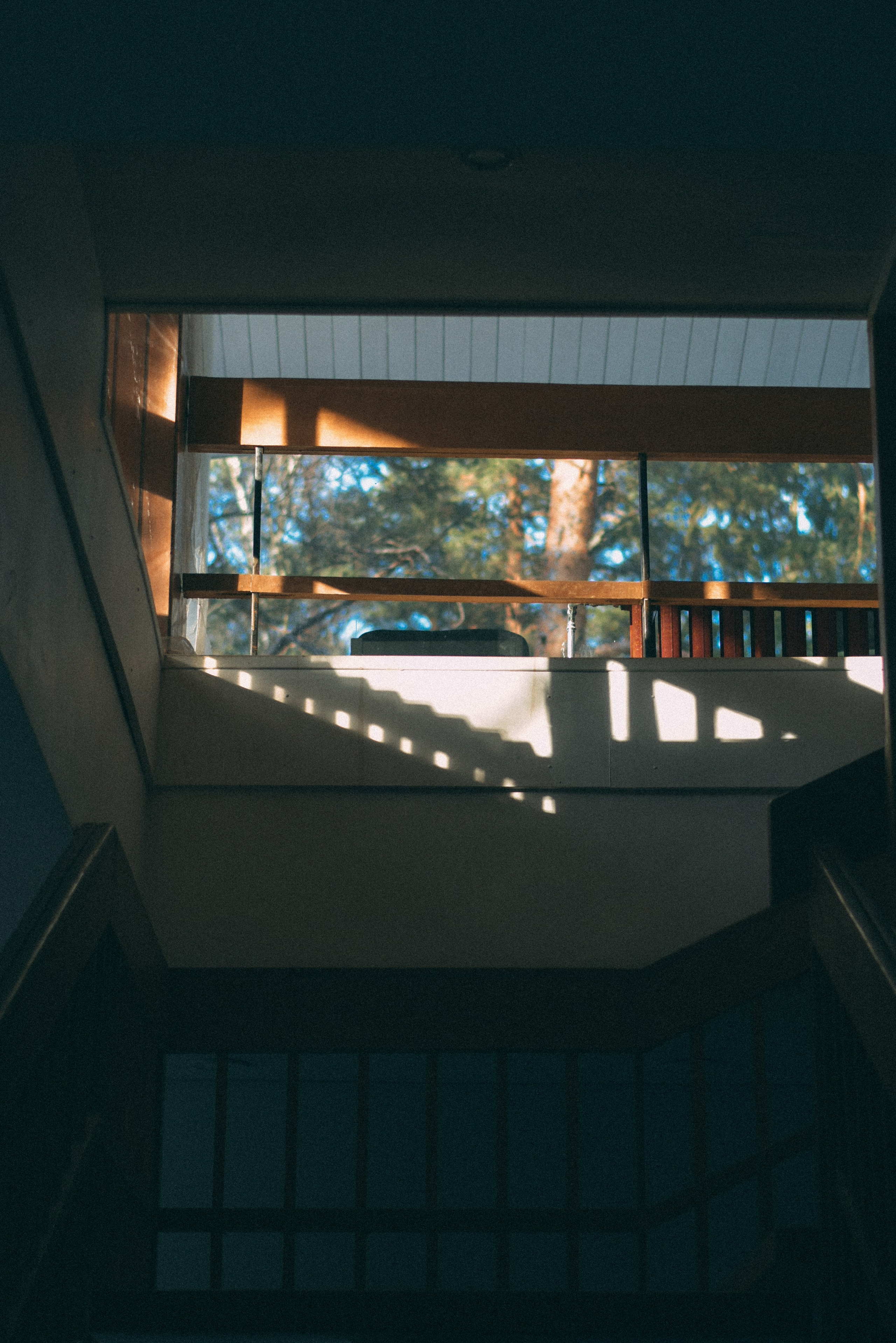 Оттепель в Москве. Элька Мурзина