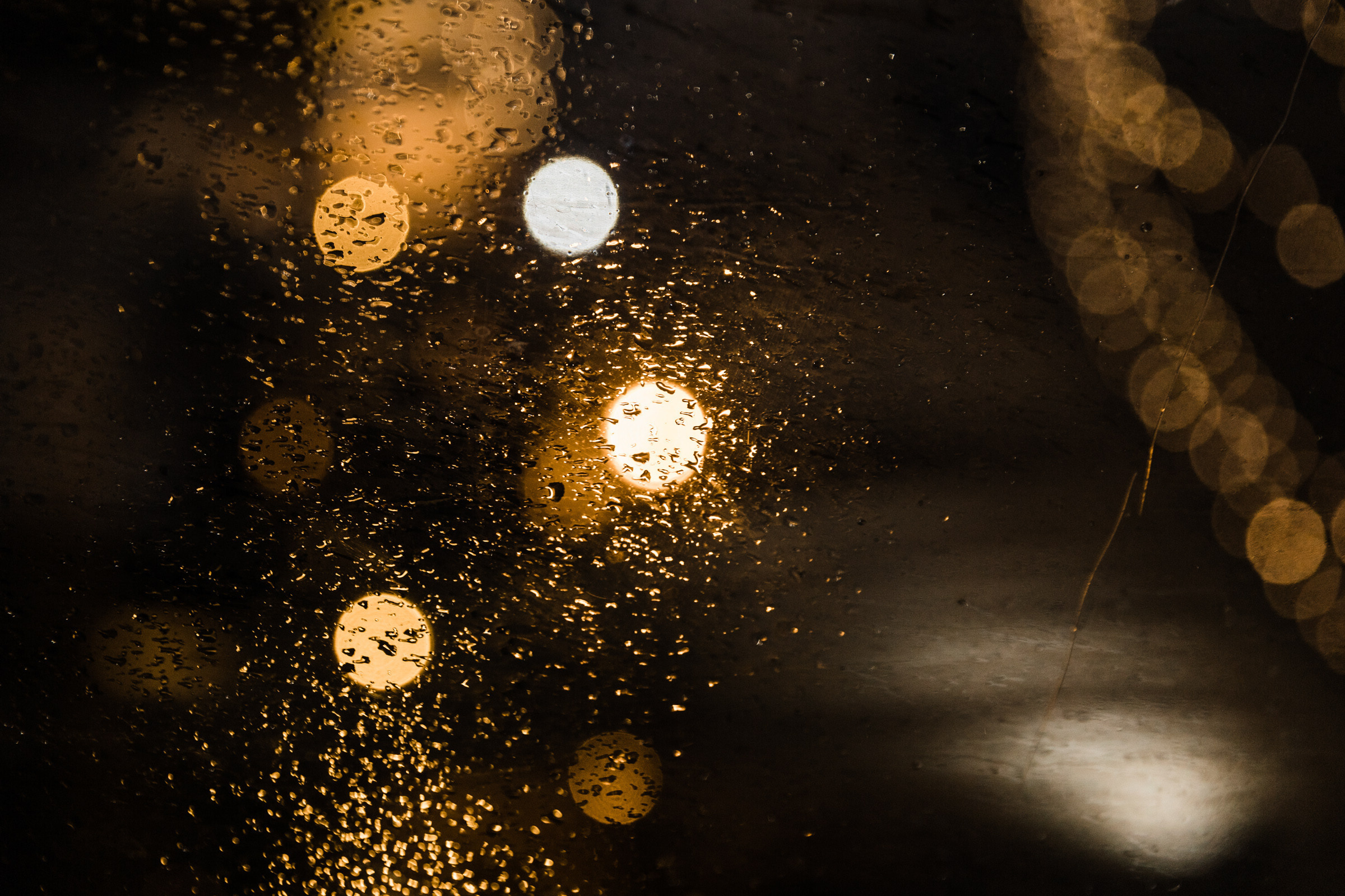 Настя и Даниил. Свадебный и семейный фотограф в Краснодаре Роман Моско