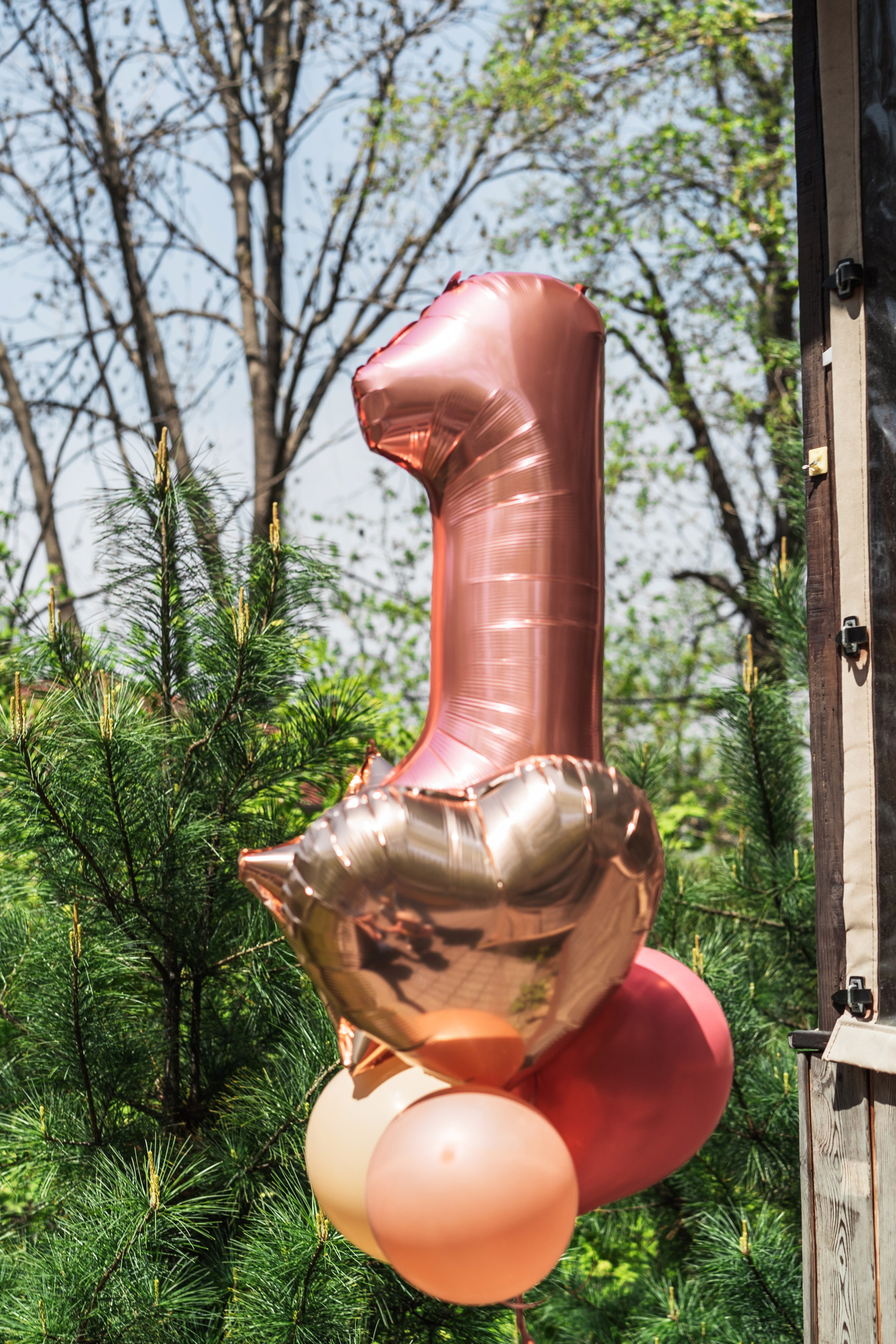 День рождения в парке. Семейный и детский фотограф во Владивостоке Мария Гой