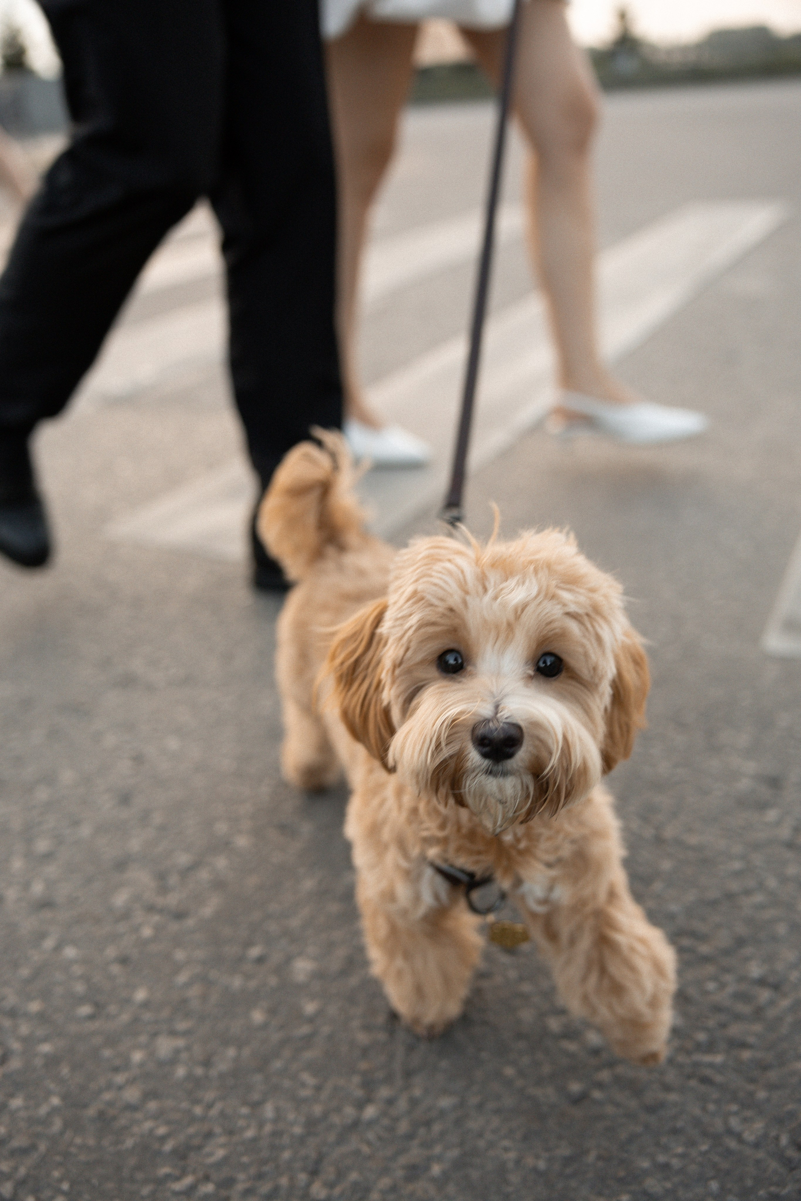 Евгений & Дарья. Фотограф Юлия Герасимова Иркутск