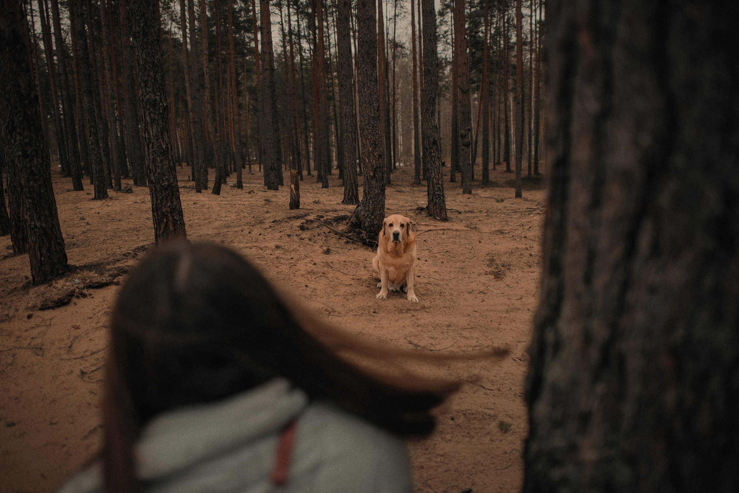 Прогулка: берн Пума, Фрэнк и Юля в Питере. Портфолио