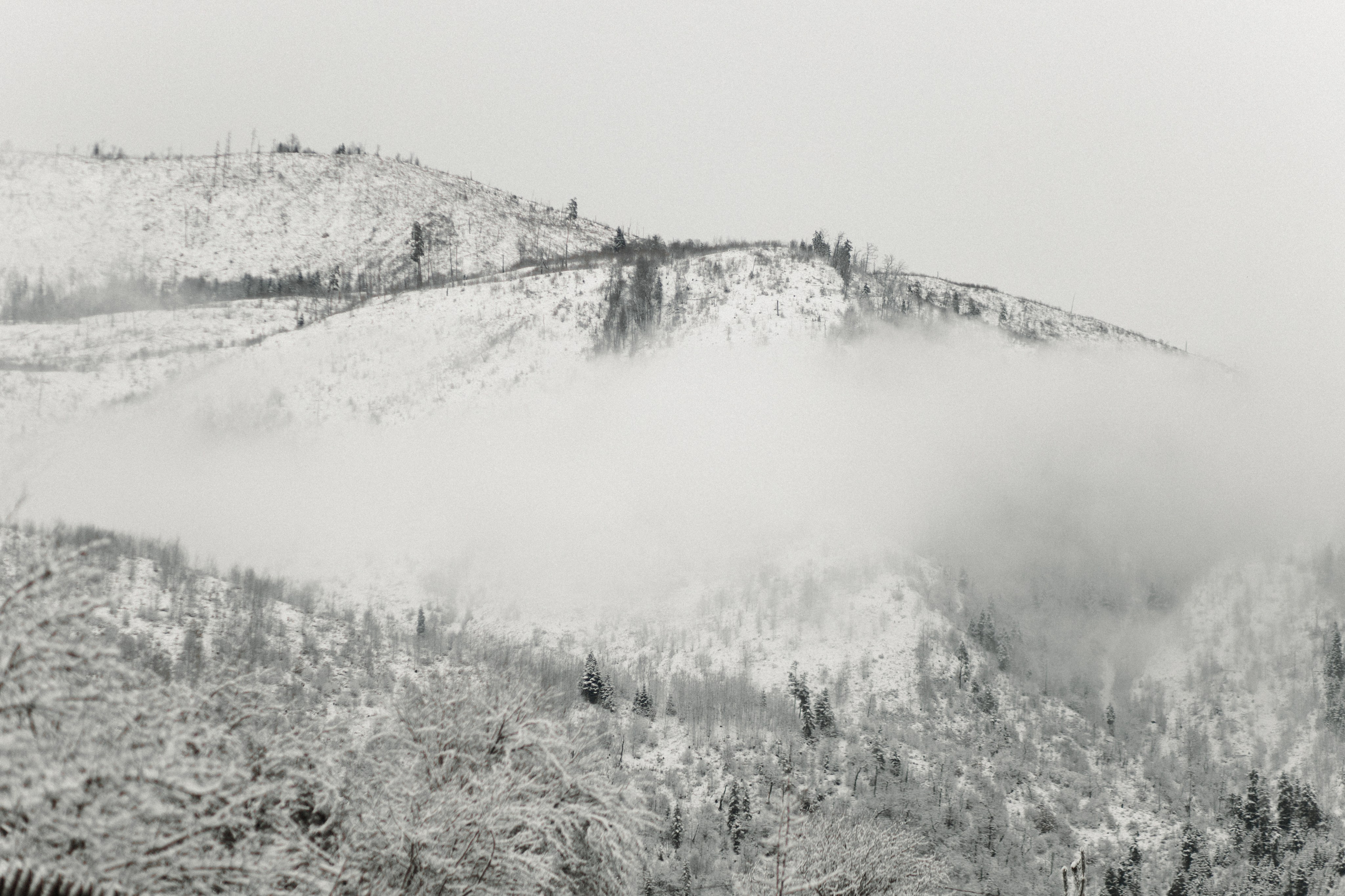 Winter in Bakuriani. Anastasia Blud Photography