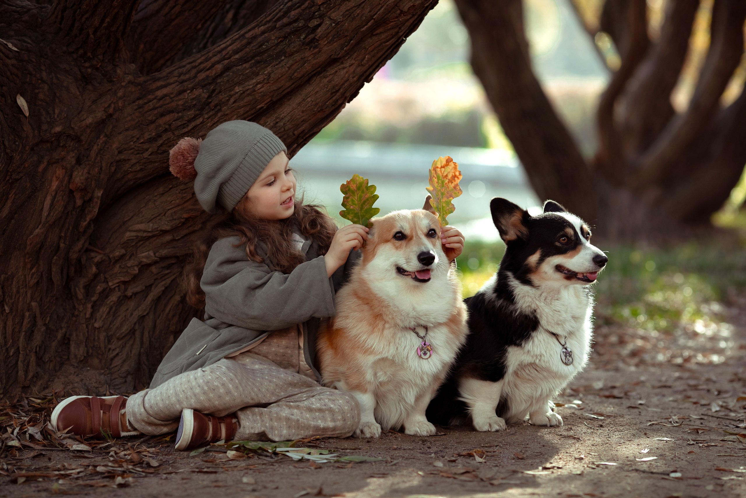 Эва с корги. Семейный и детский фотограф в Москве Дорогова Екатерина