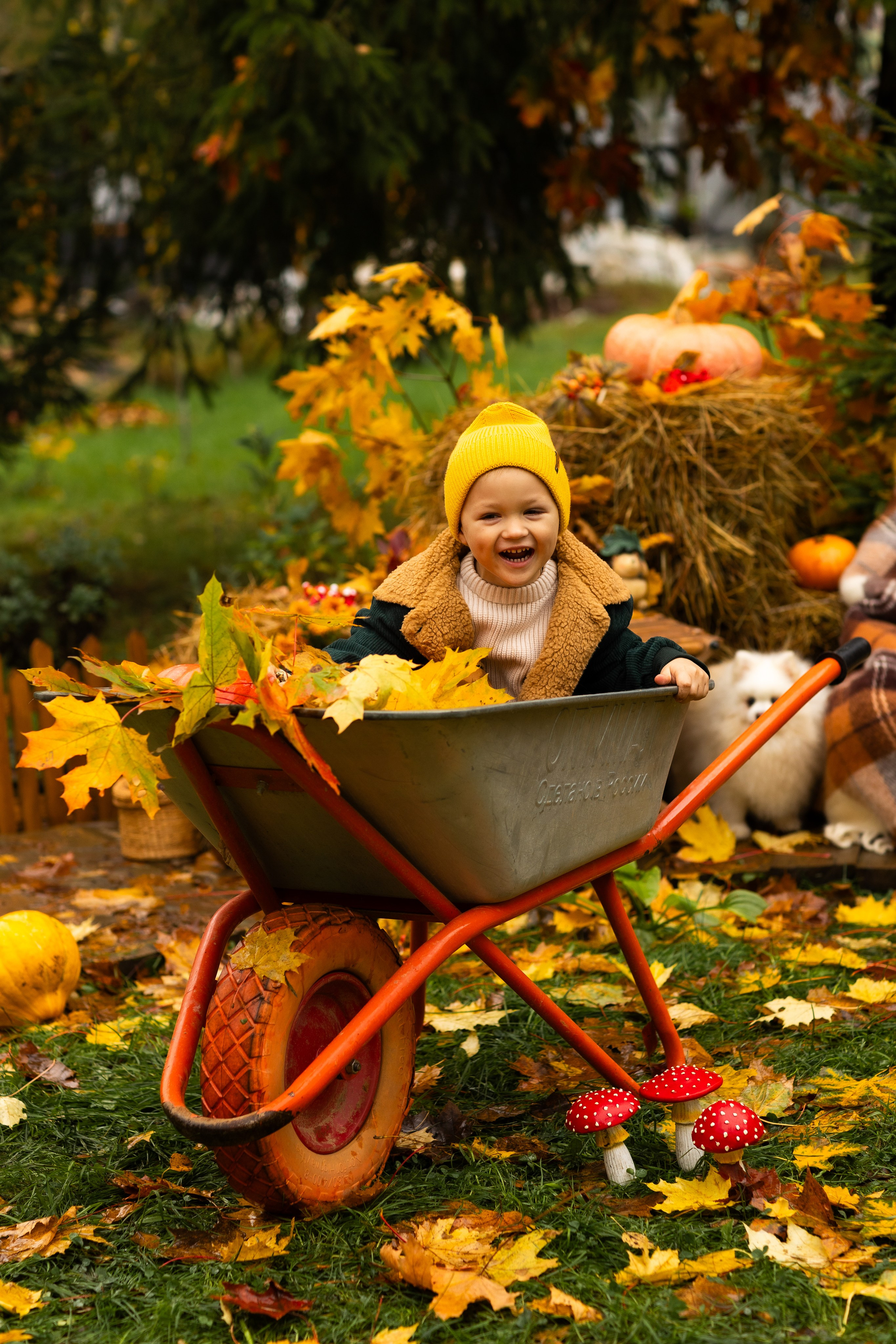 Осень. Профессиональный ретушер Москва и весь мир — Елена Тимченко