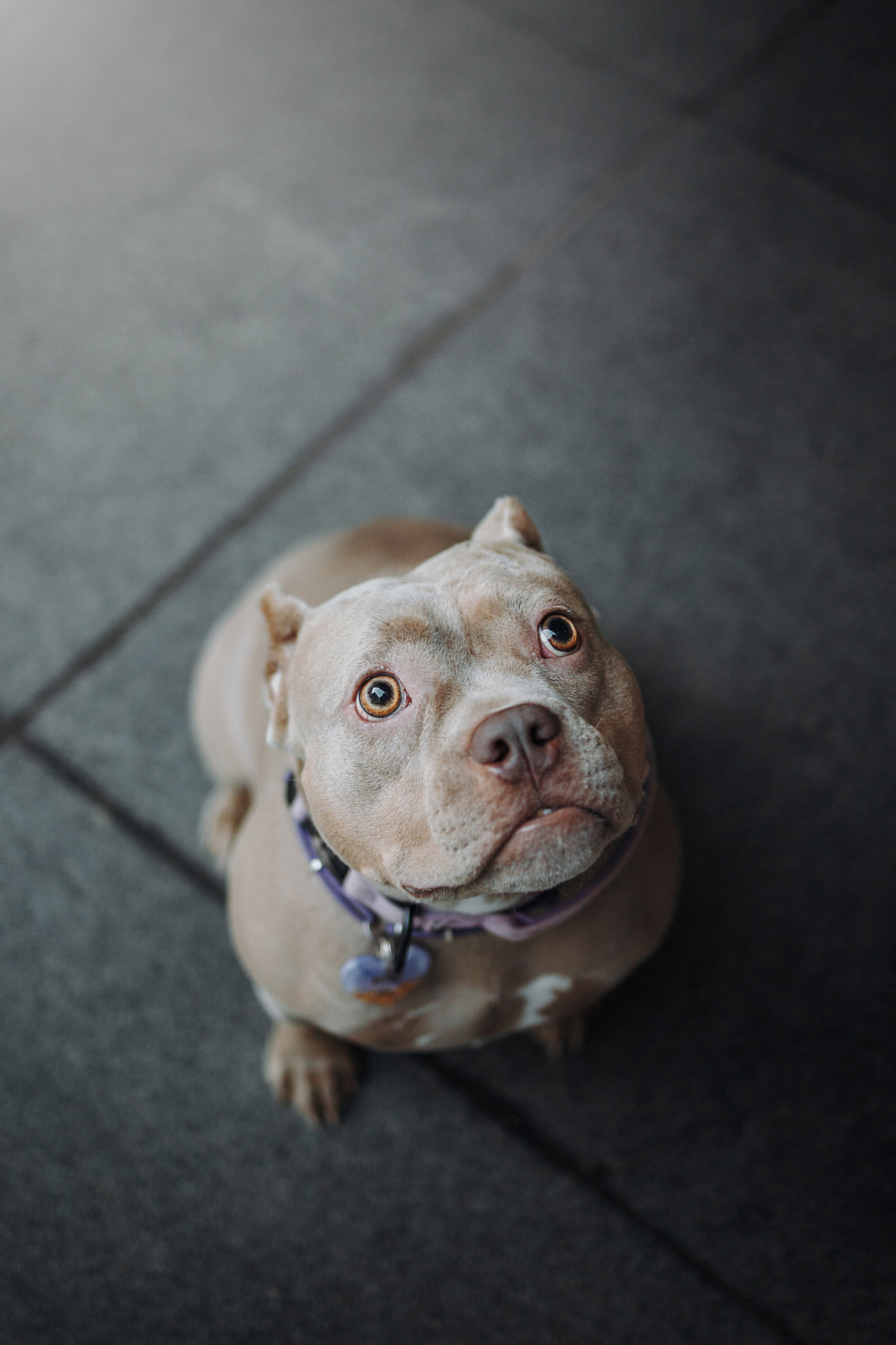 Лера и ее булочки. Фотограф — Анималист | Санкт-Петербург