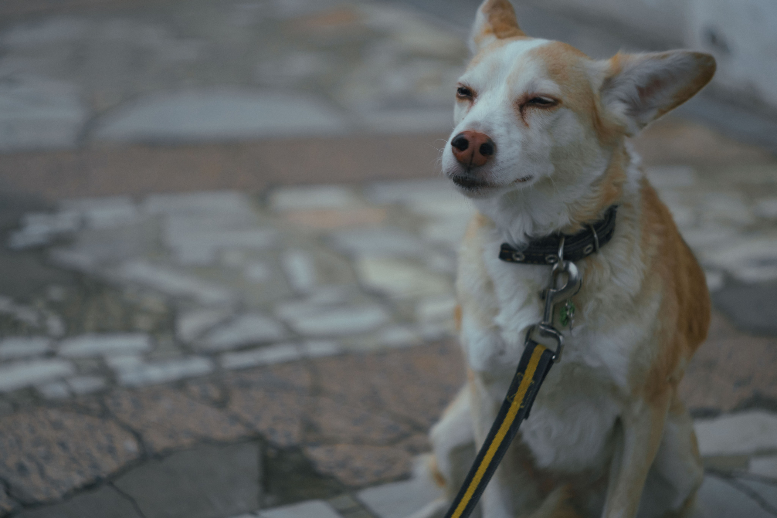 Соня. Фотограф в Кстово и Нижнем Новгороде KOLOSOK