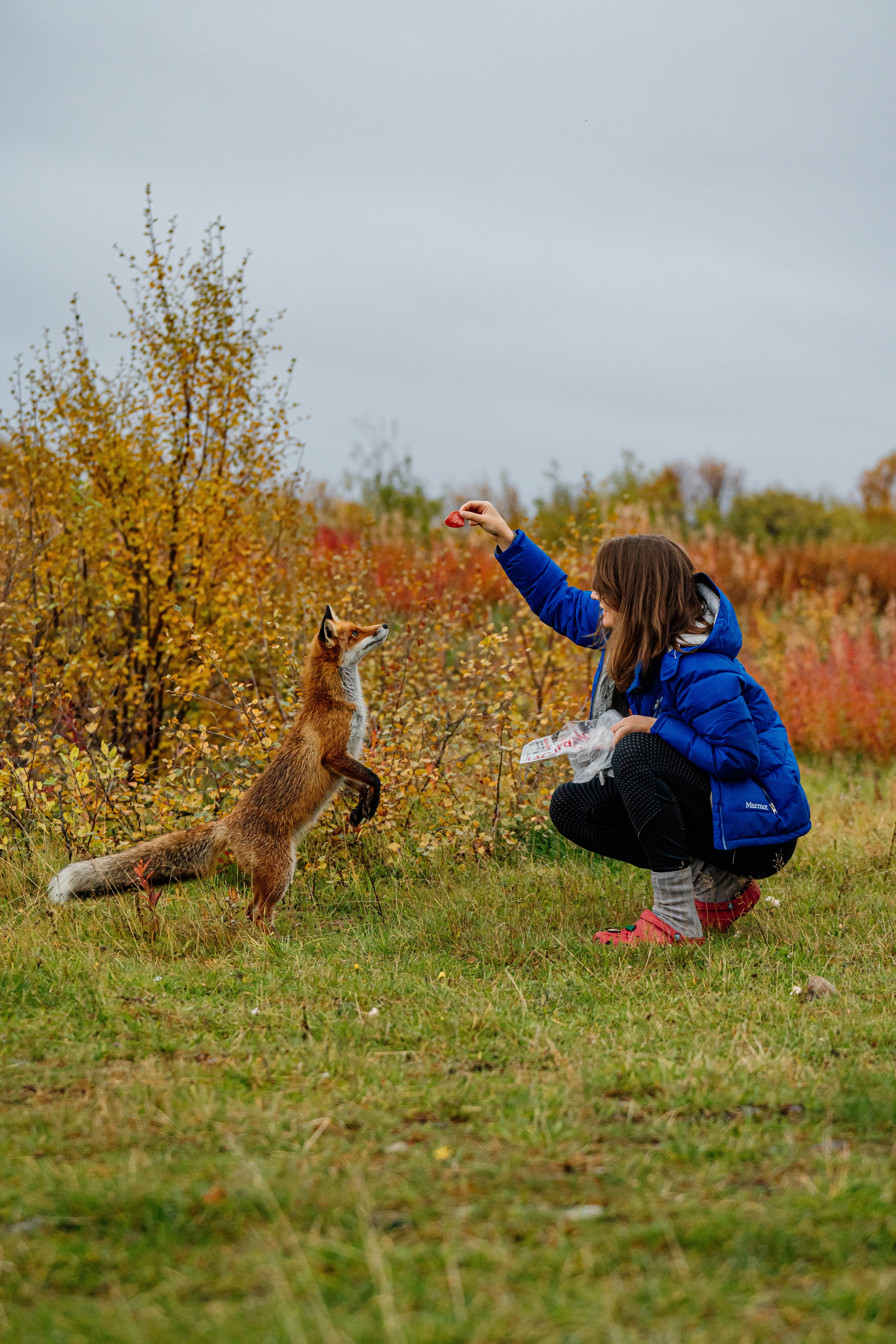 СЕВЕР. Event фотограф Степанова Александра
