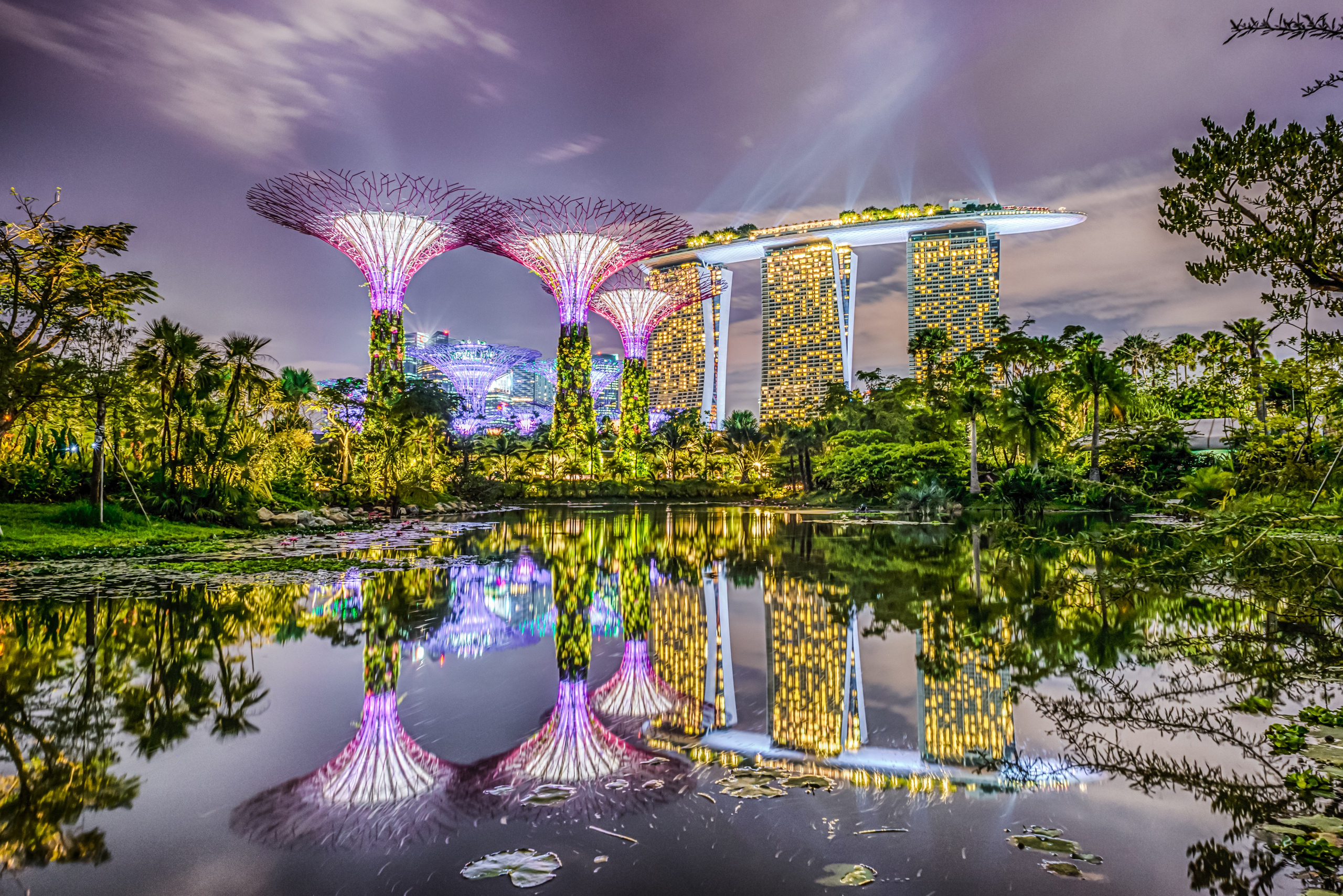 Singapore. Shanti Alex Art
