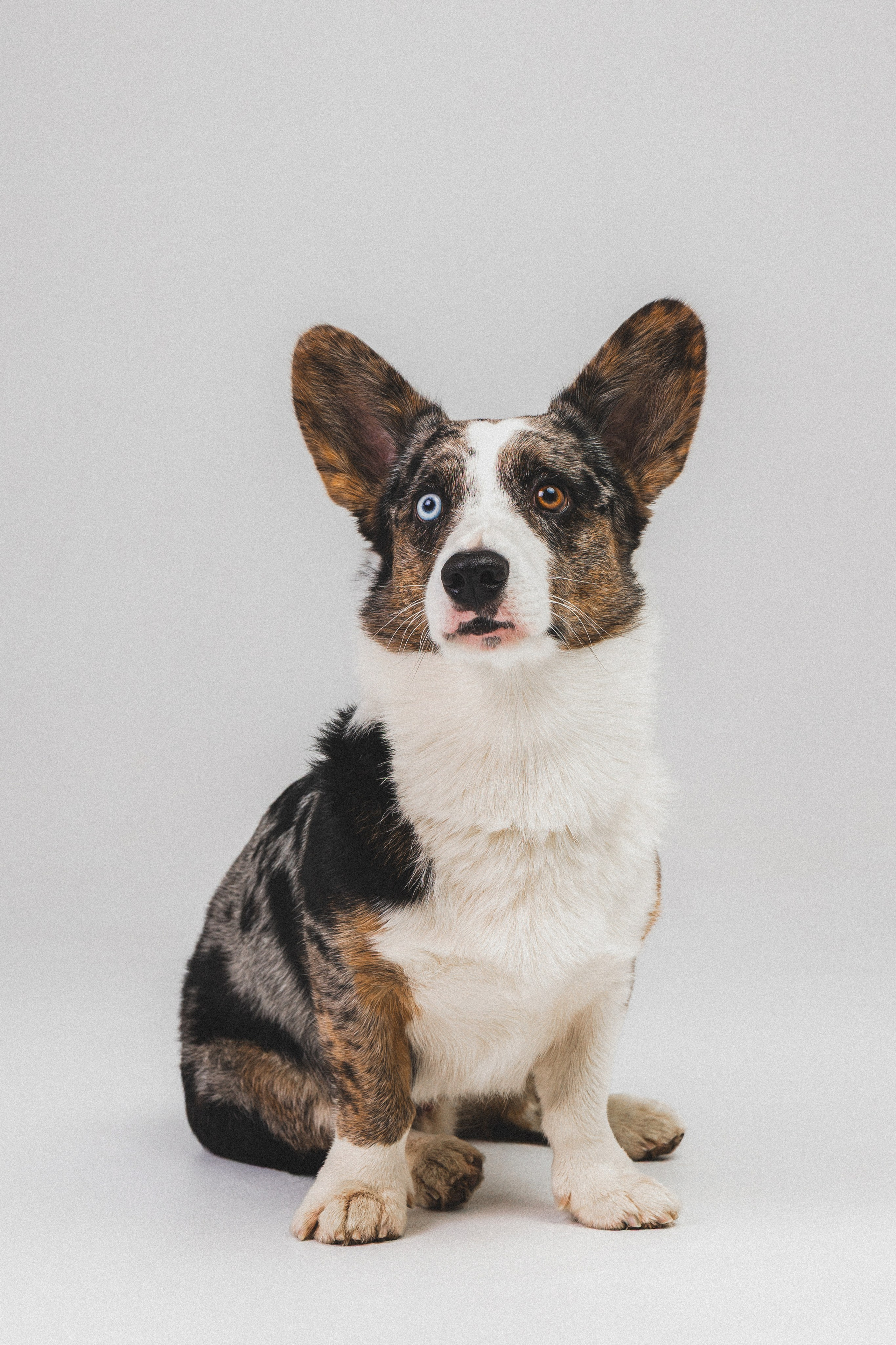 Анатолий и Рагнар