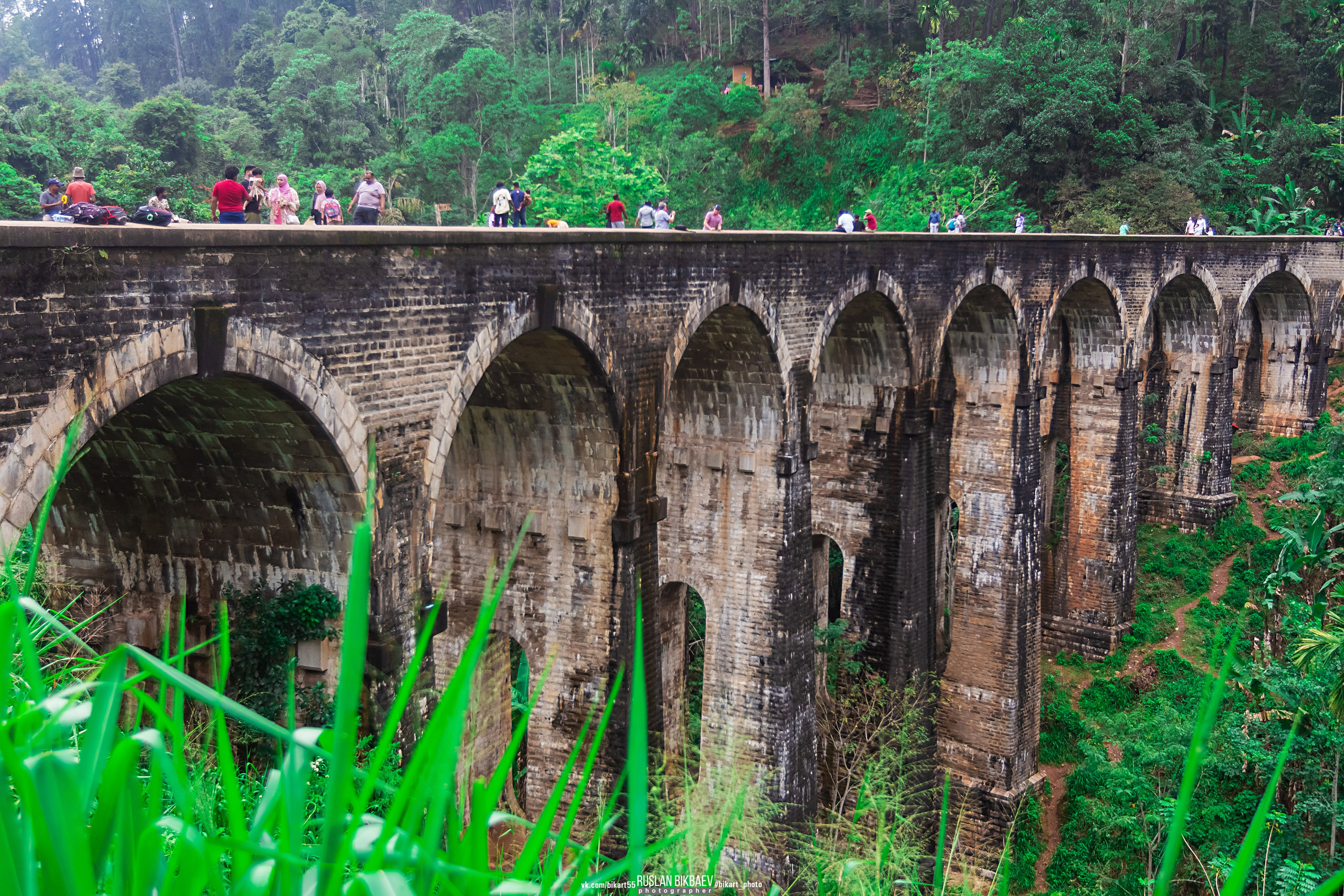 ШРИ-ЛАНКА 2025 / SRI LANKA 2025. Главная