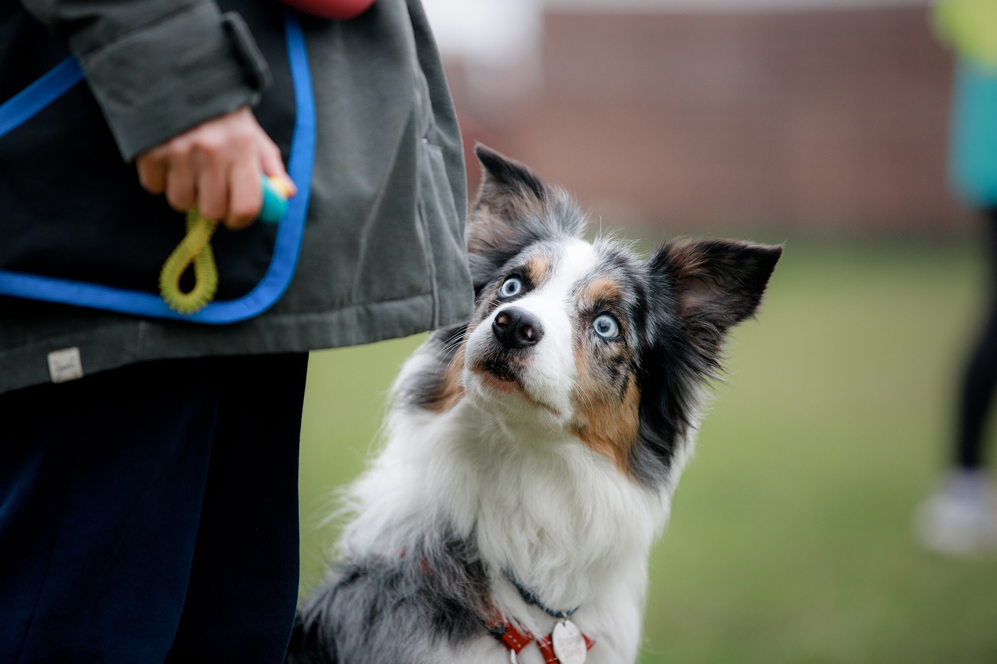 Лагерь по ОБД с Инной Баженовой. Фотограф-анималист Mary Mart — Москва, Питер