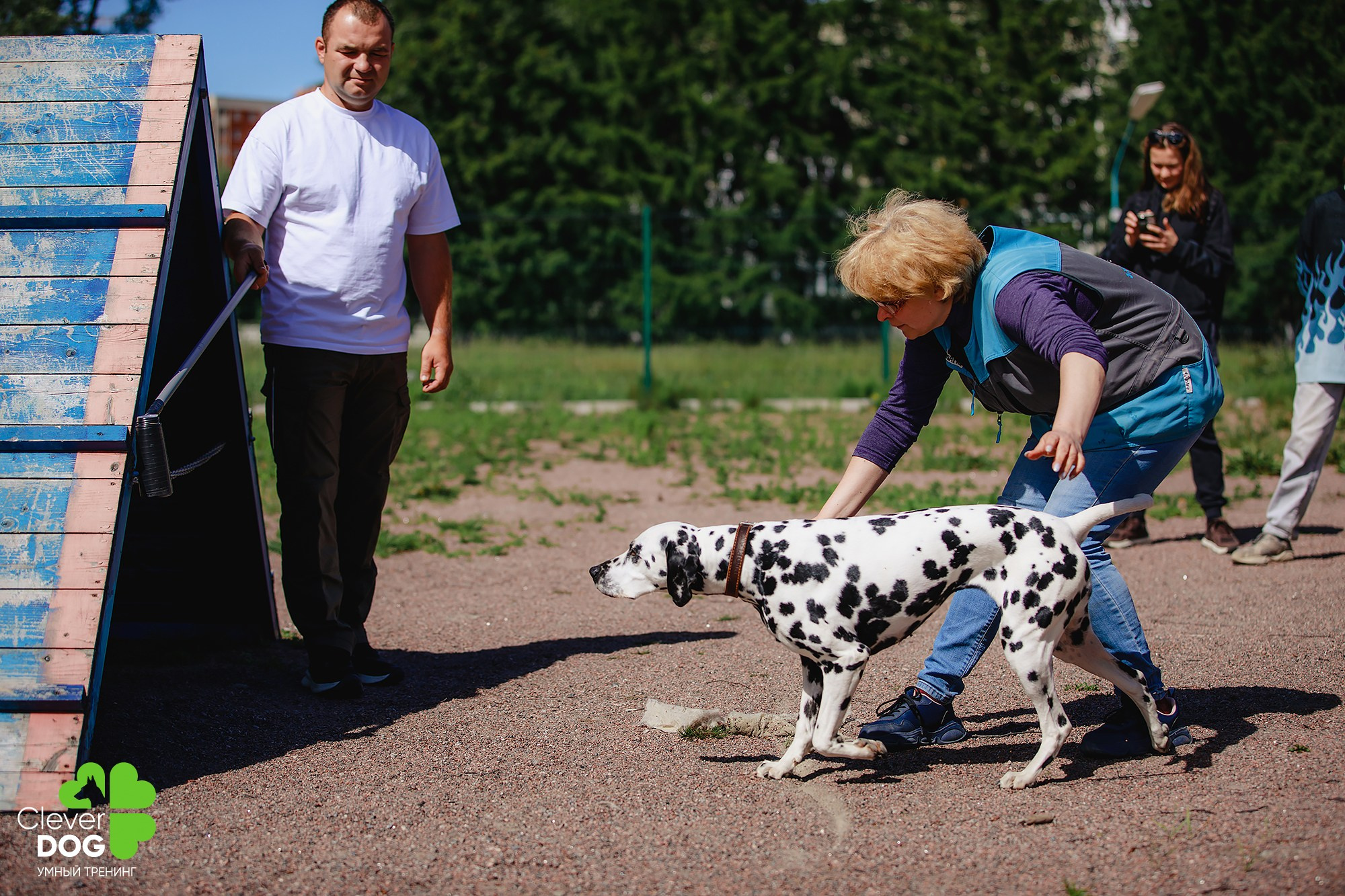 Семинар по поиску запаха с Иваном Ломовым, организатор CleverDog, СПб. Фотограф-анималист Mary Mart — Москва, Питер