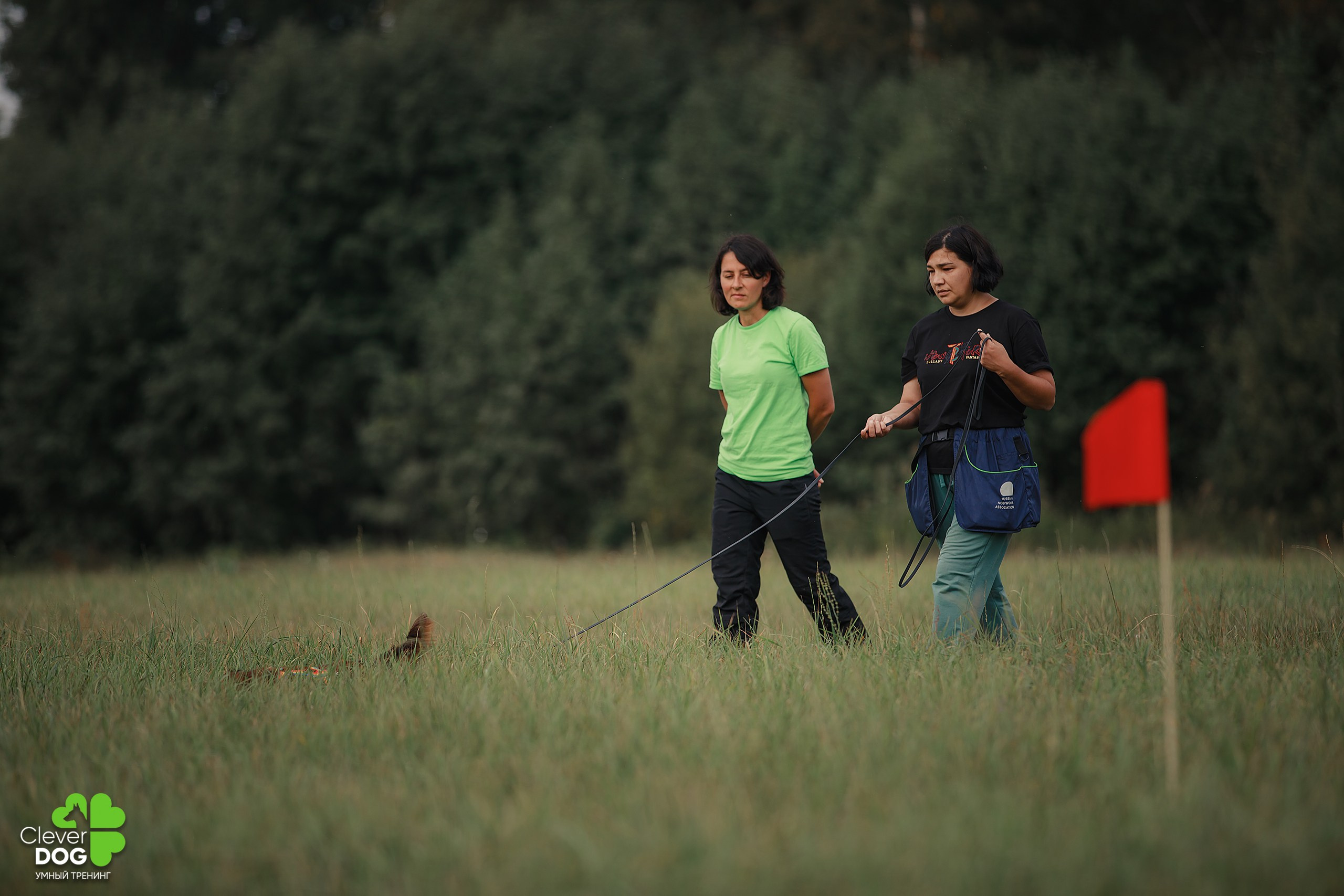 Кинологический лагерь CleverDog, 2024. Фотограф-анималист Mary Mart — Москва, Питер