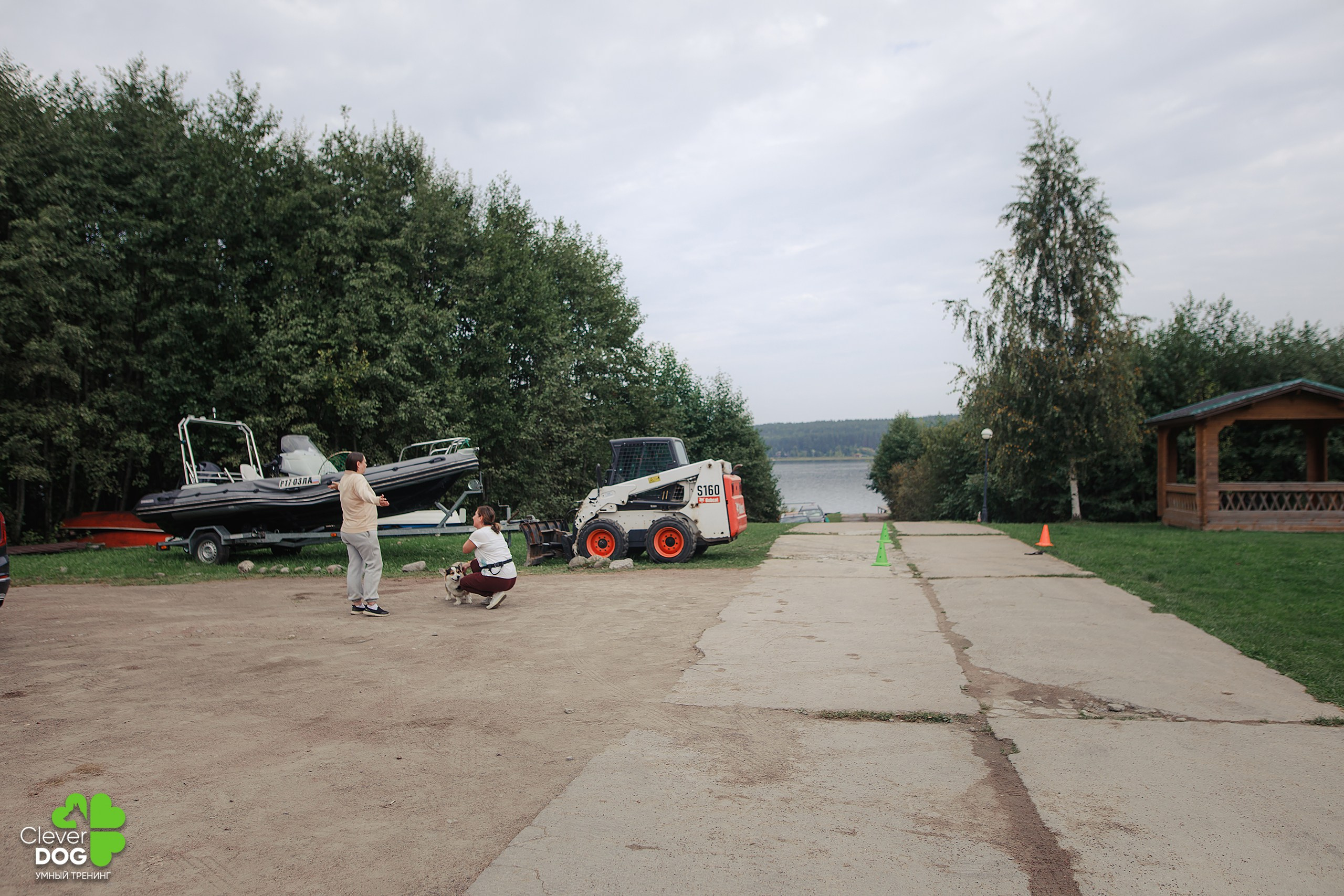 Кинологический лагерь CleverDog, 2024. Фотограф-анималист Mary Mart — Москва, Питер