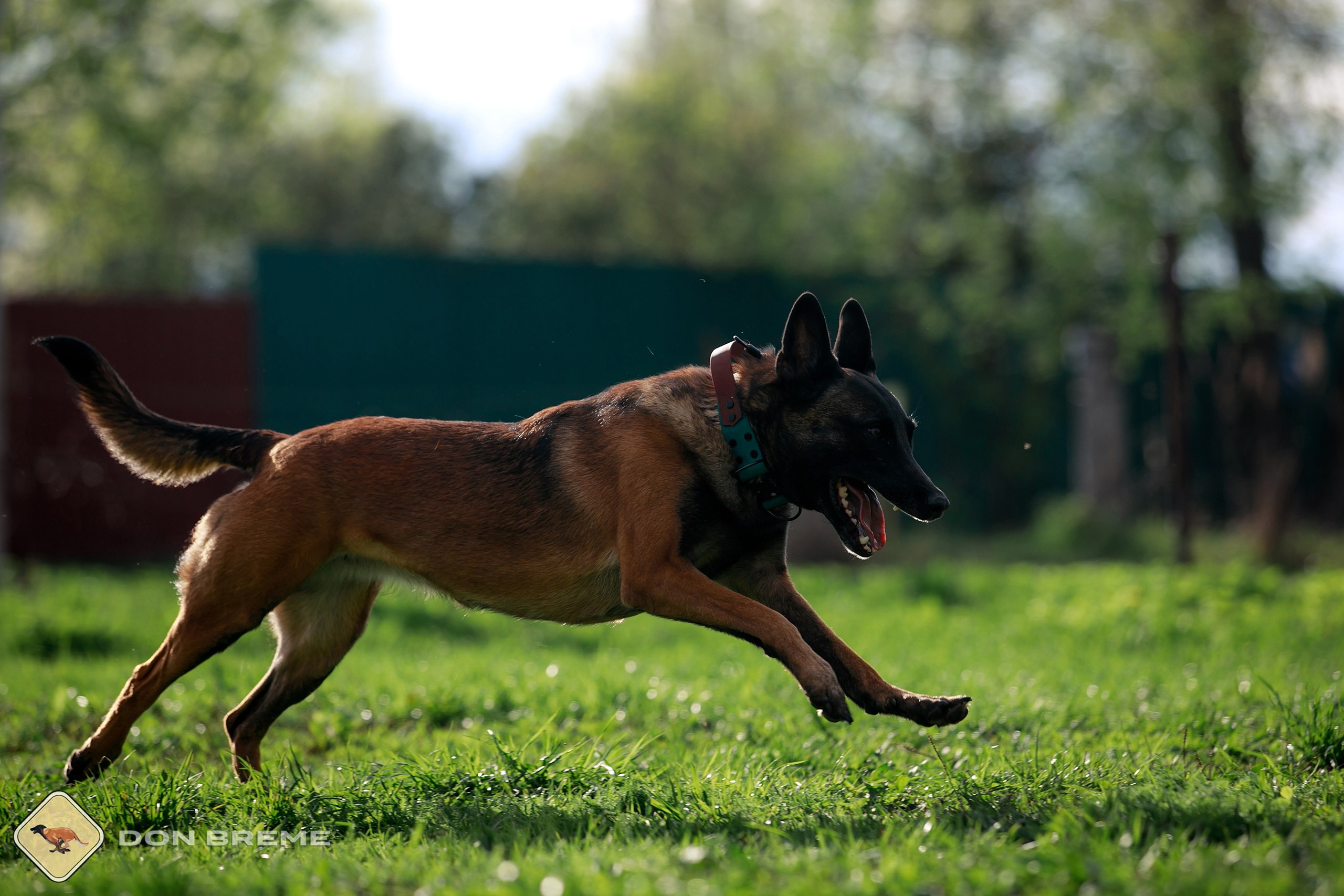Семинар для фигурантов, день 2. Фотограф-анималист Mary Mart — Москва, Питер