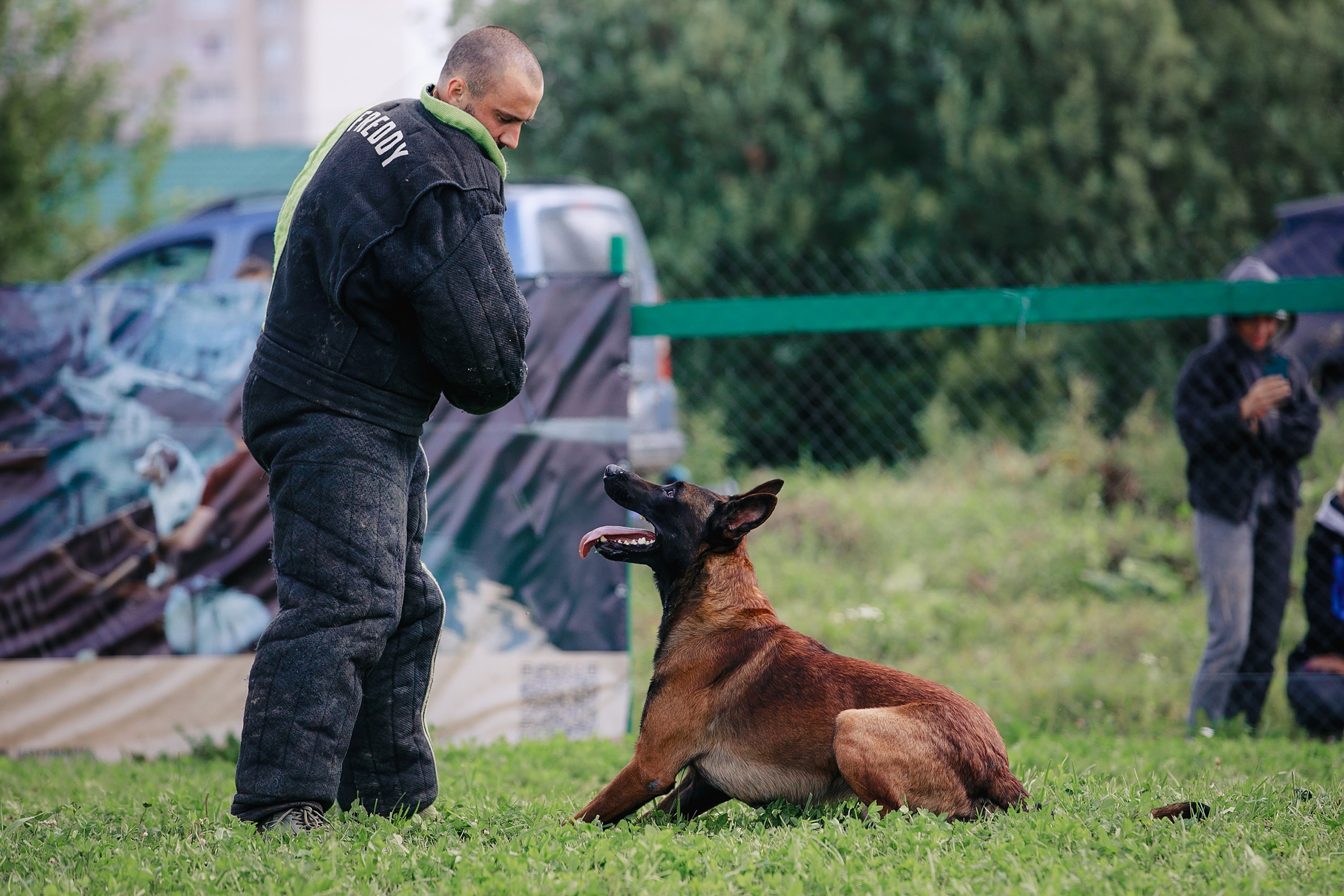 Мондьоринг М1, М2, М3, Вологда. Фотограф-анималист Mary Mart — Москва, Питер