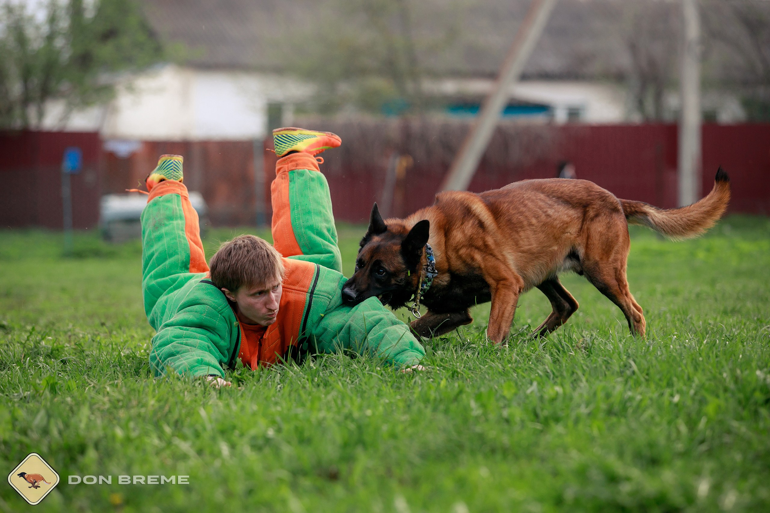 Семинар для фигурантов, день 2. Фотограф-анималист Mary Mart — Москва, Питер