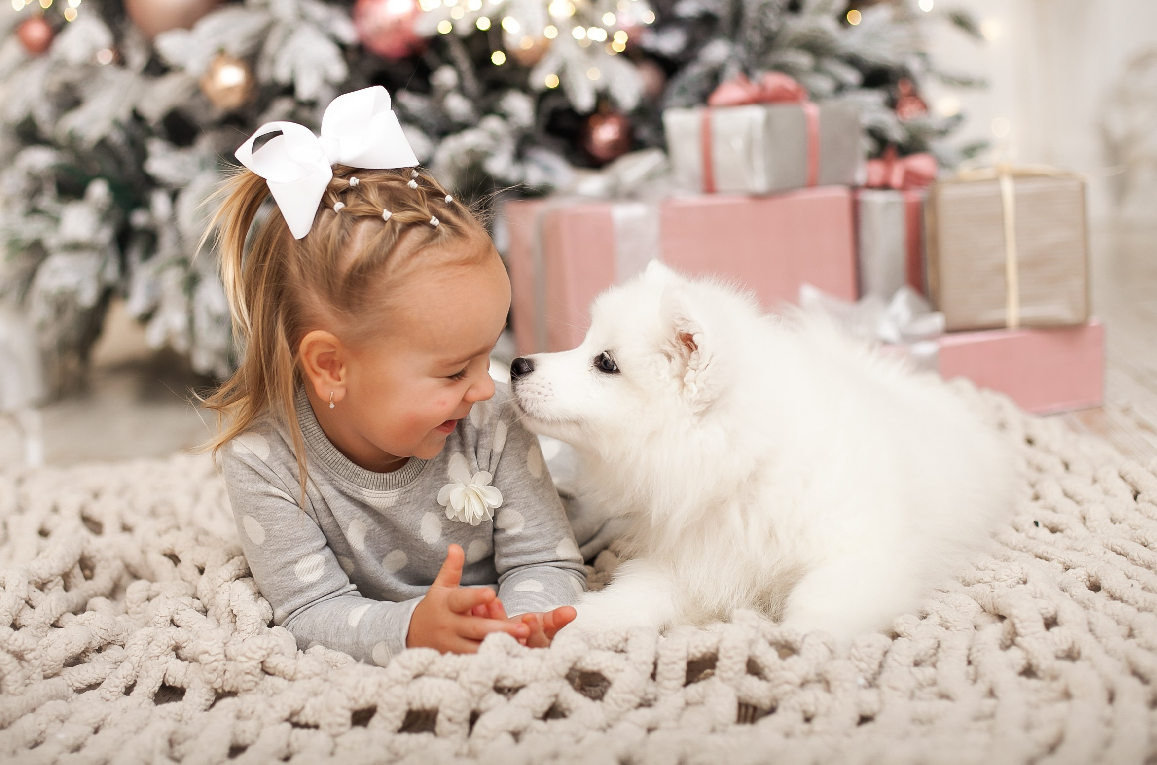 Фотосессия с животными в студии. Фотопроекты, фотодни и фотосессии в Москве