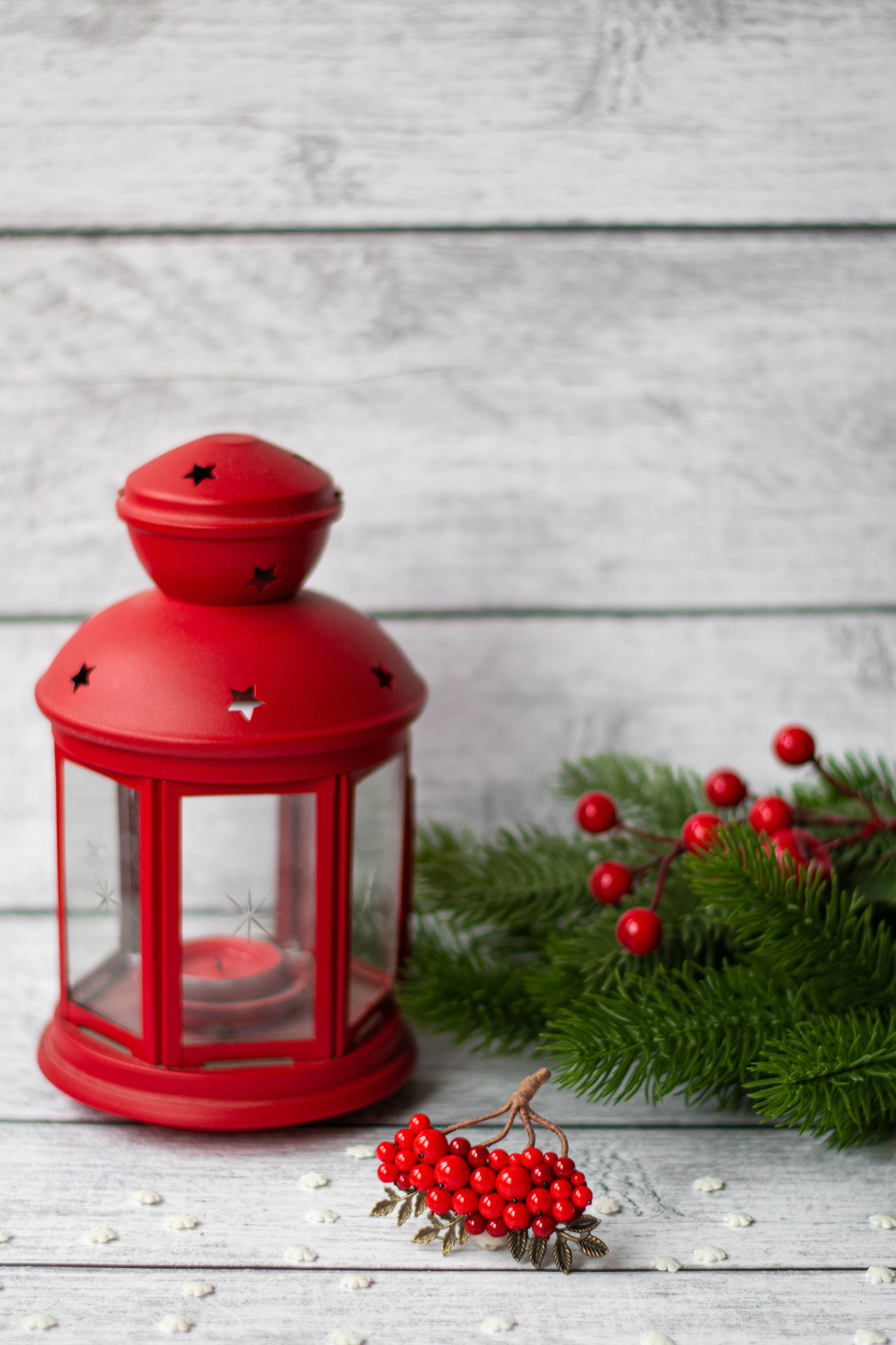 Броши ручной работы «Рябина». Фотограф Санкт-Петербург | Дарья Першина