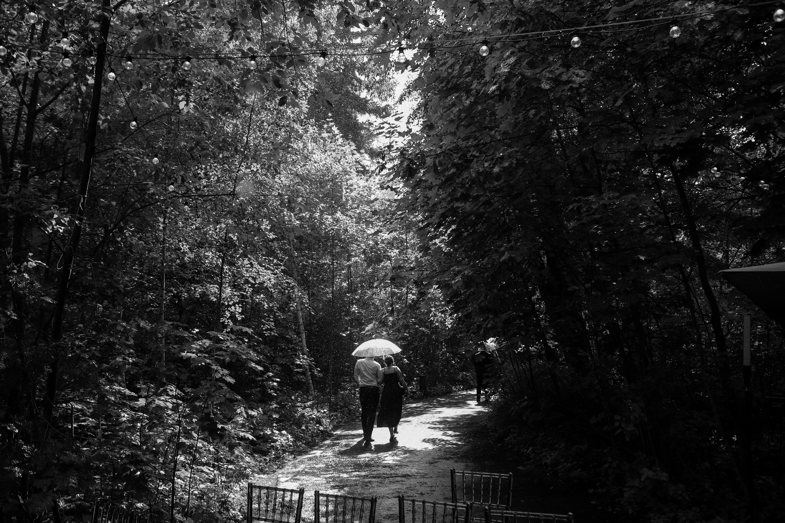 Forest dew reportage. Свадебный фотограф FOTOKEYT