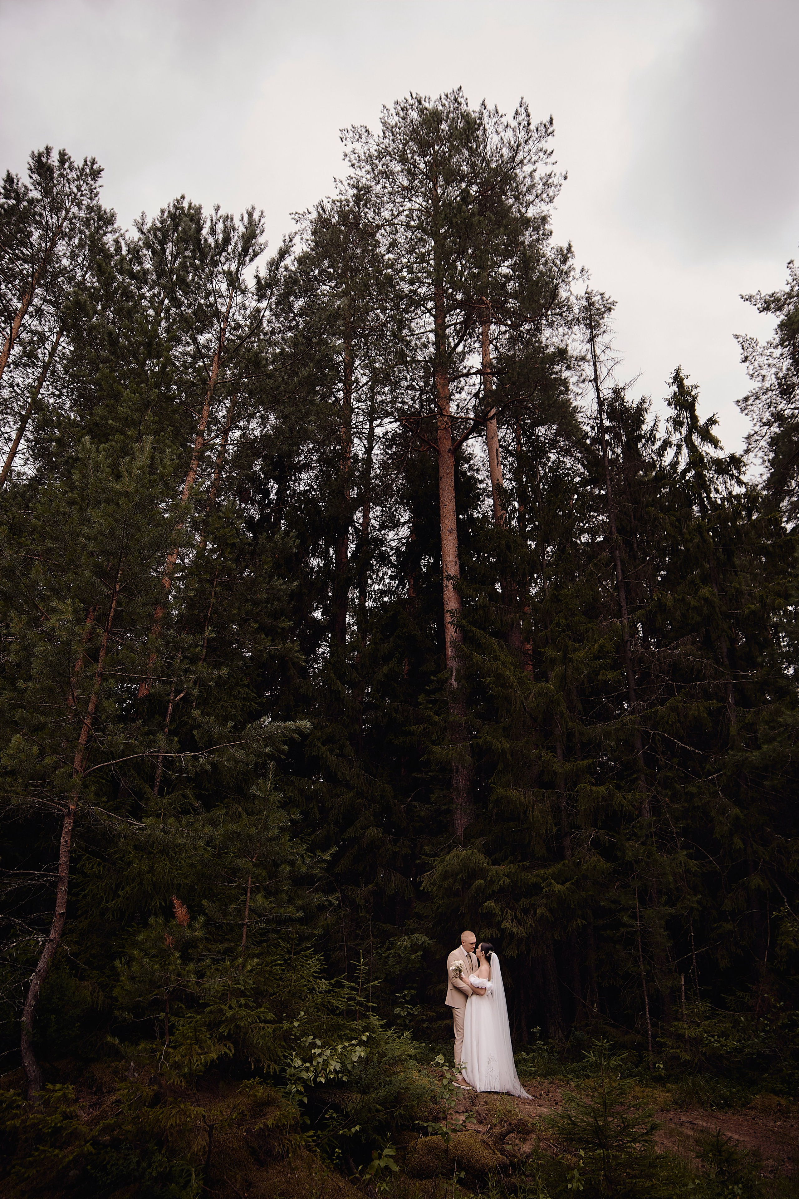 Данил и Алина. Свадебный фотограф Чайковский