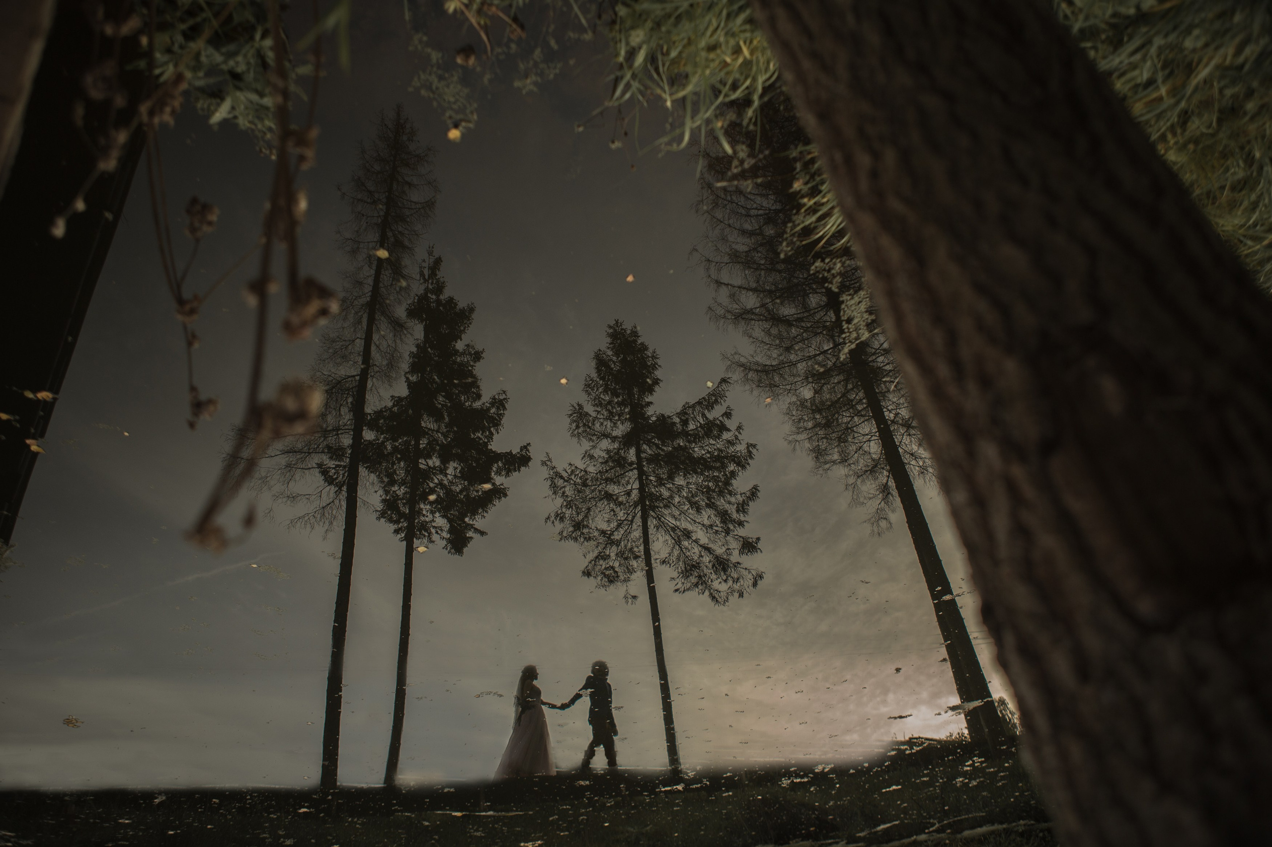 Прогулка. Свадебный фотограф Владивосток, Свадебная фотография